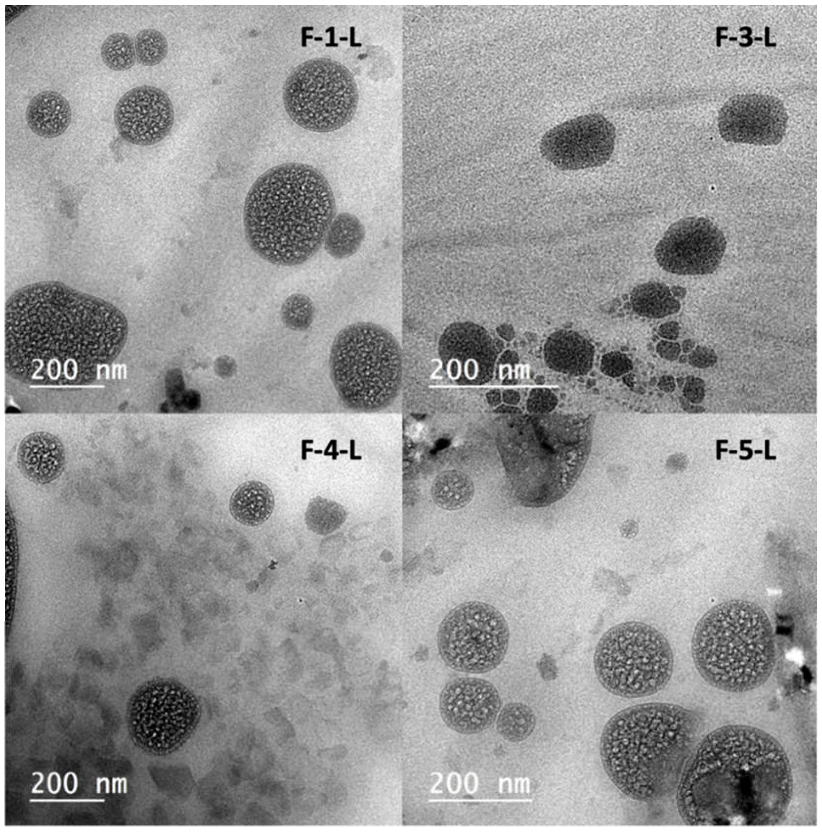 Pharmaceutics 15 00954 g004
