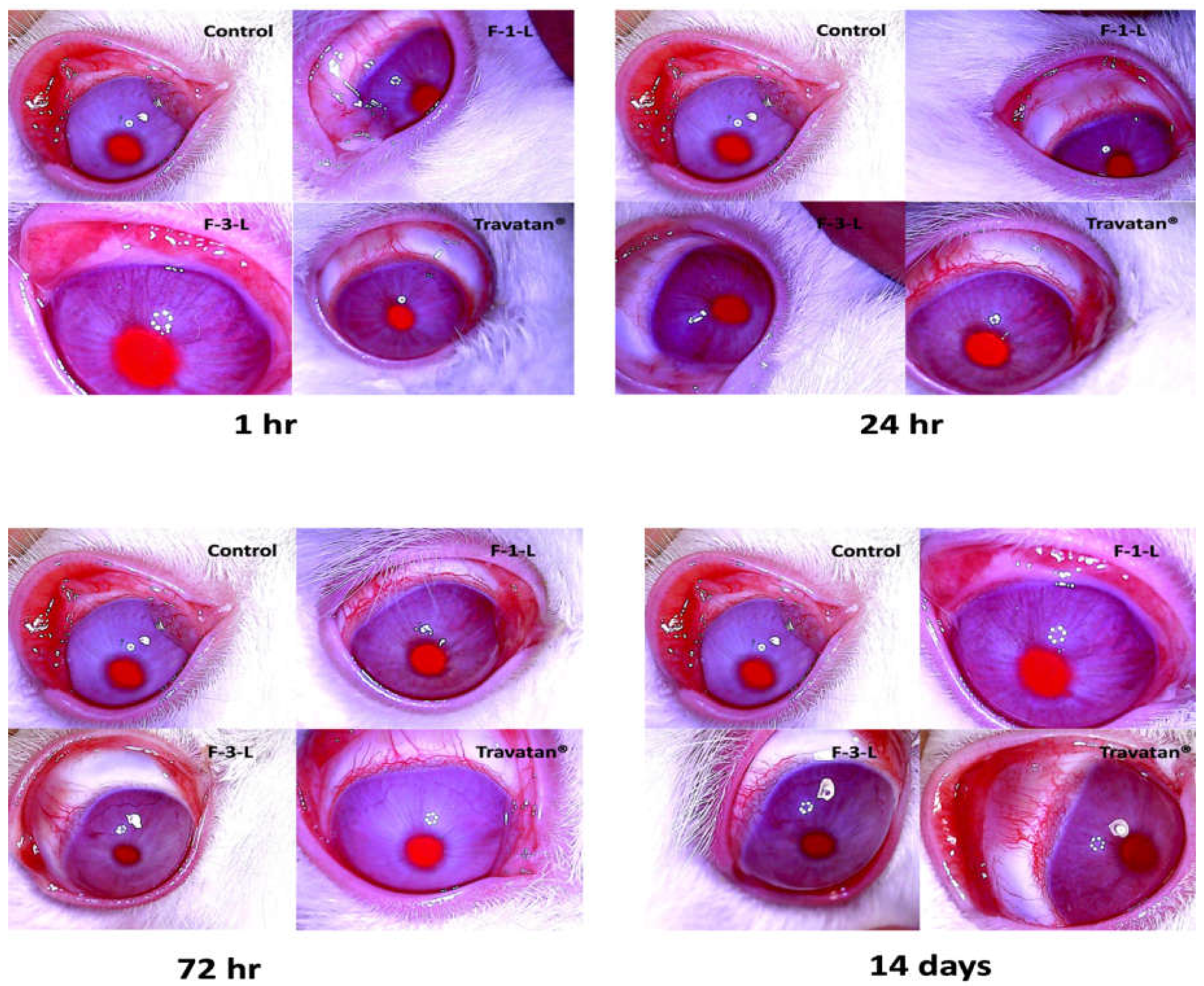 Pharmaceutics 15 00954 g008
