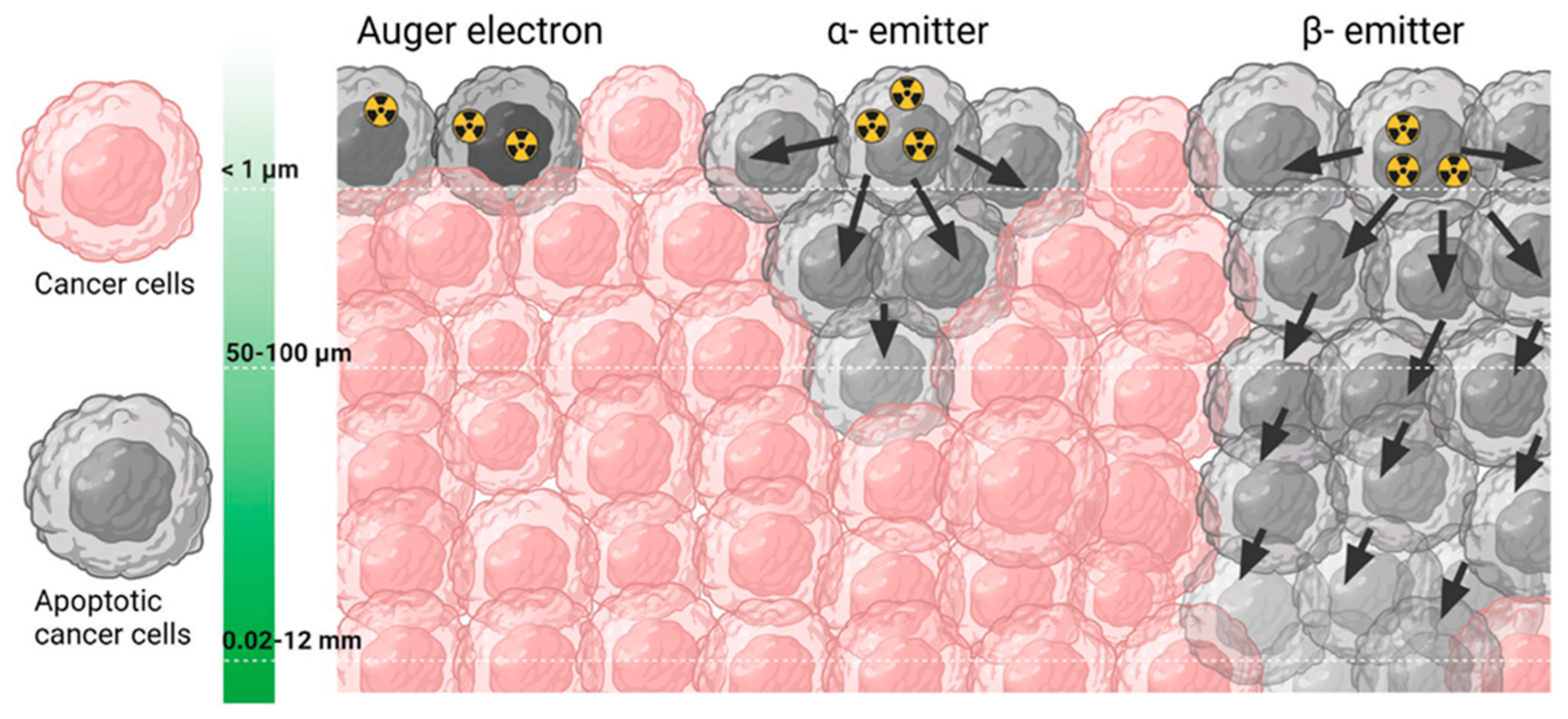Pharmaceutics 15 00971 g001