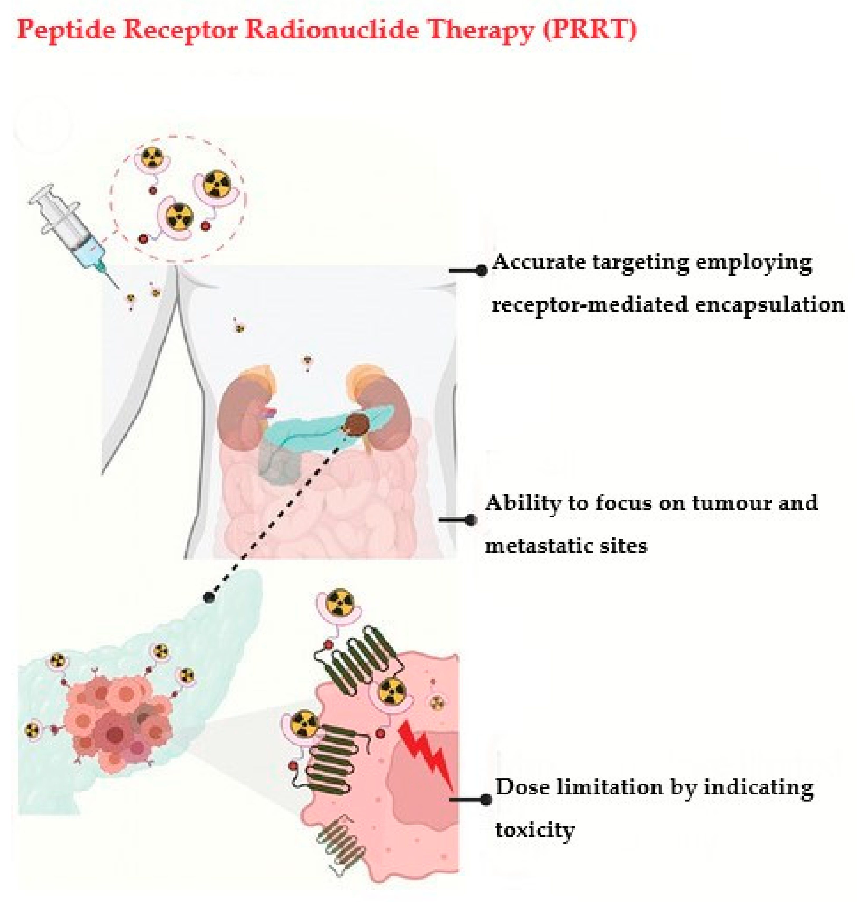 Pharmaceutics 15 00971 g002
