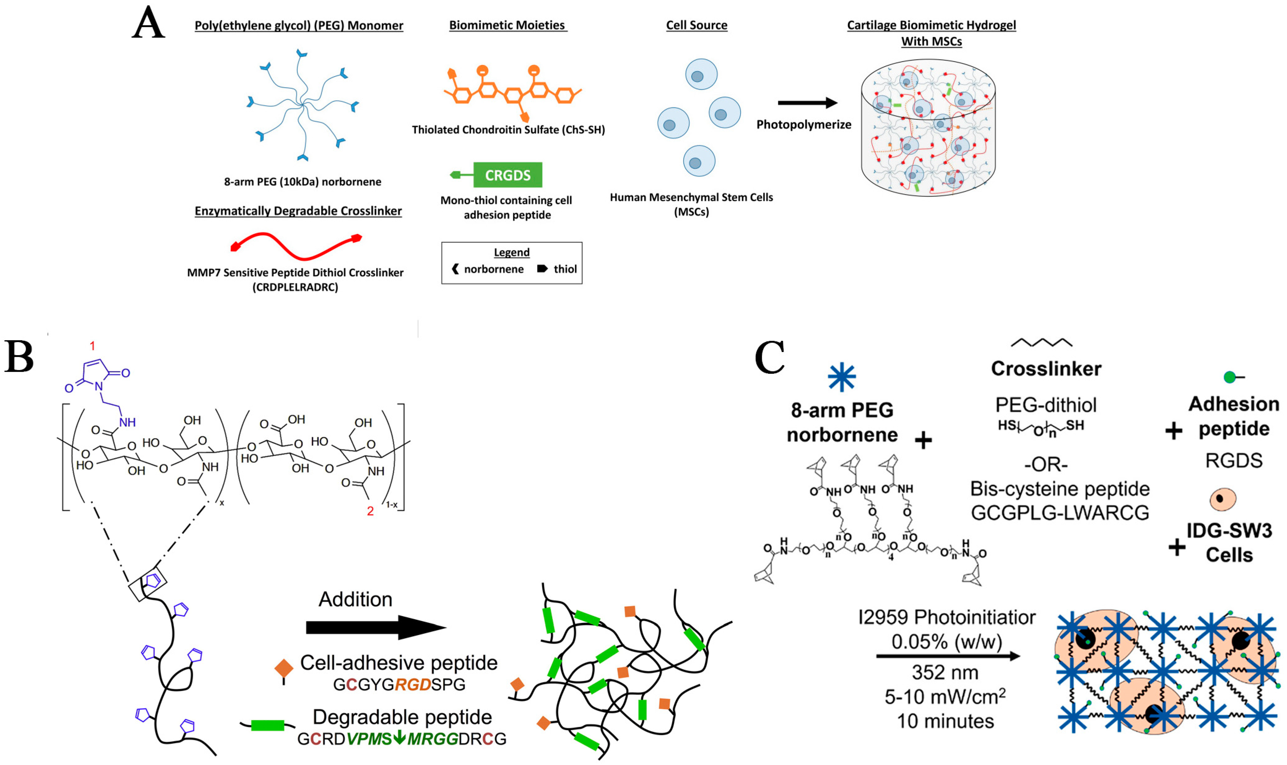 Pharmaceutics 15 00982 g002