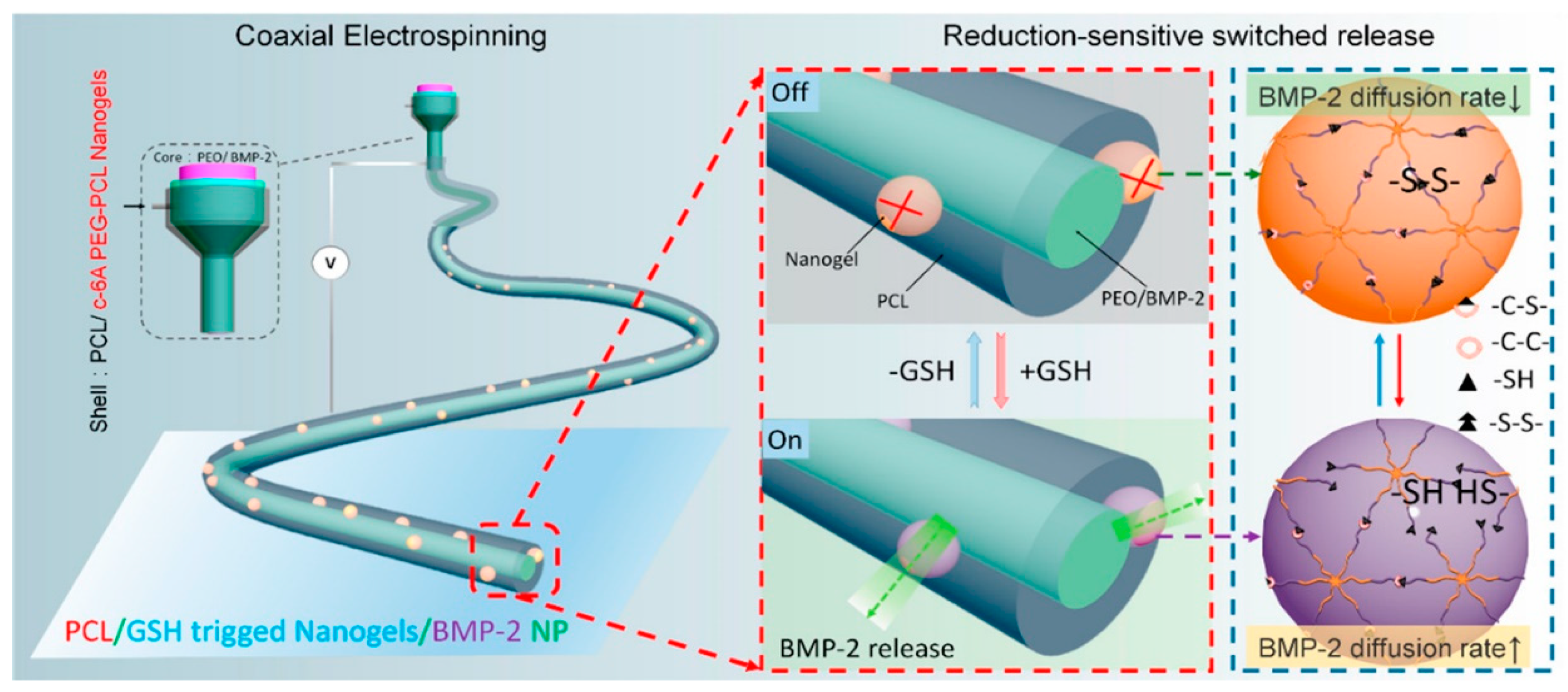Pharmaceutics 15 00982 g005