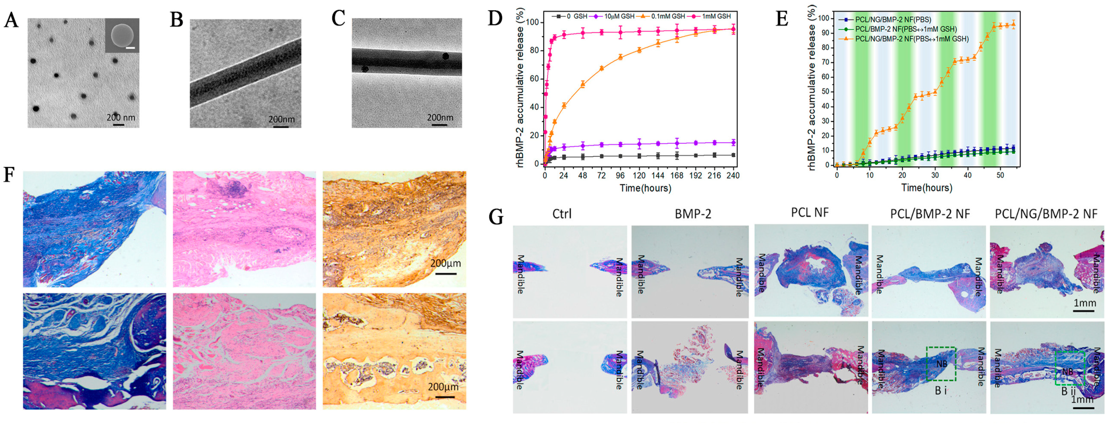 Pharmaceutics 15 00982 g006