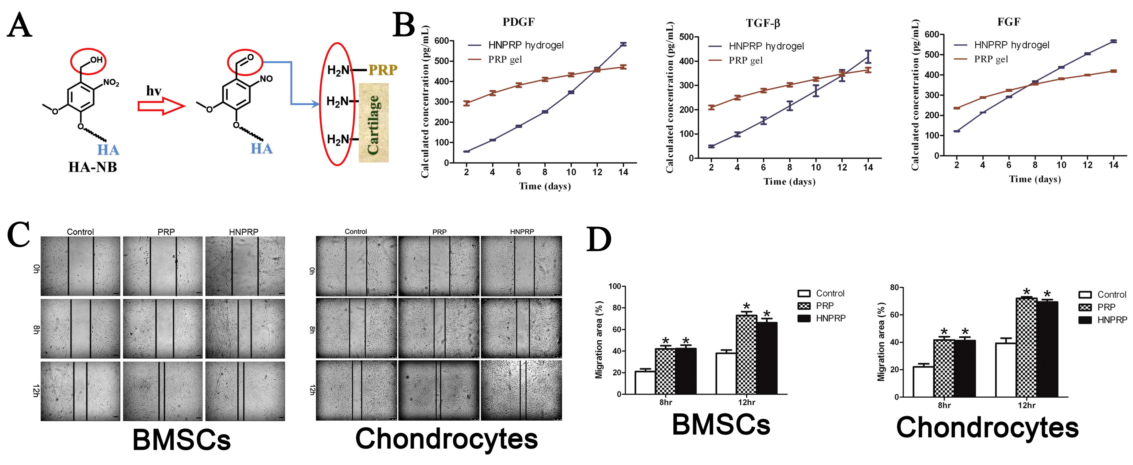 Pharmaceutics 15 00982 g008
