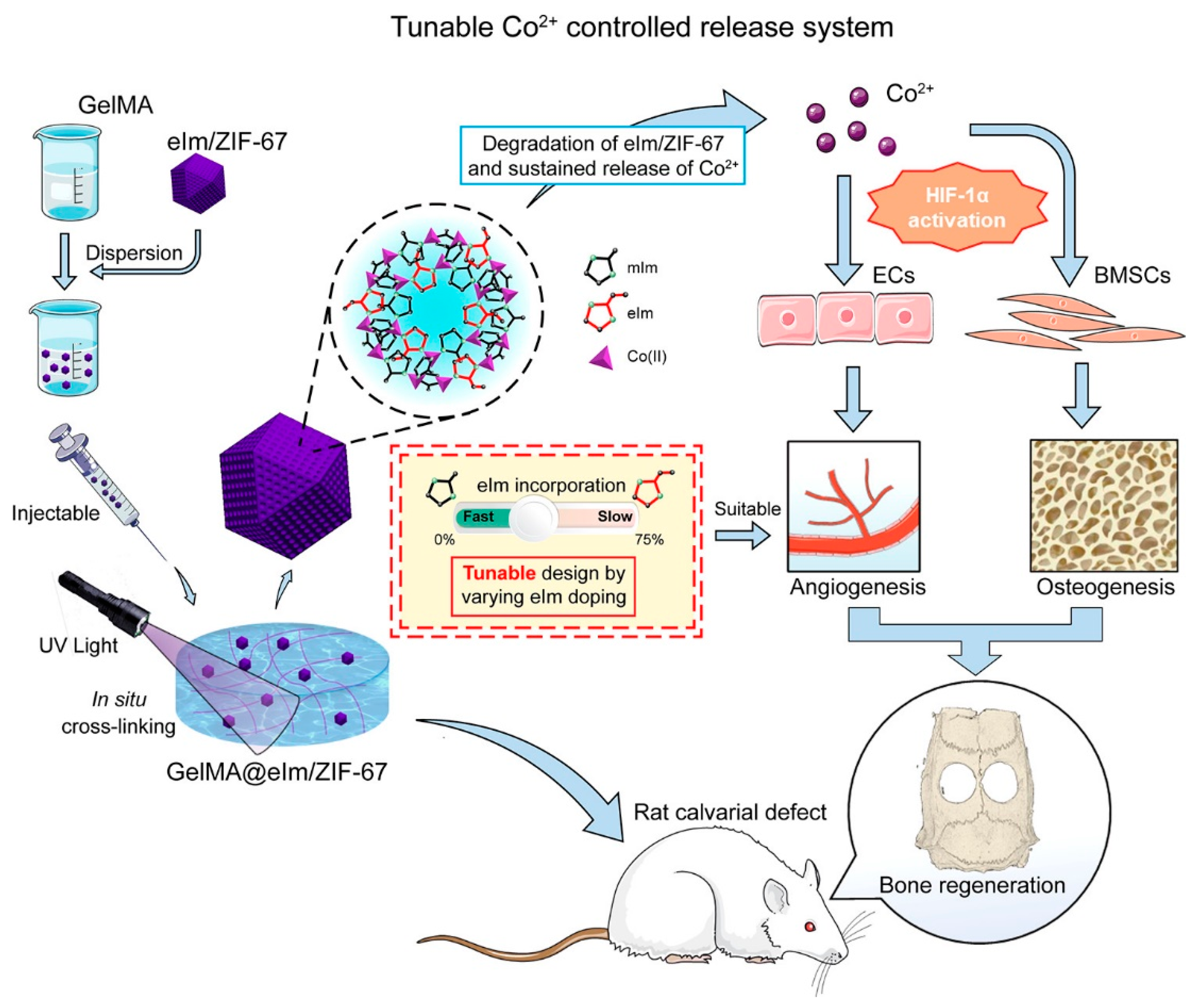 Pharmaceutics 15 00982 g009