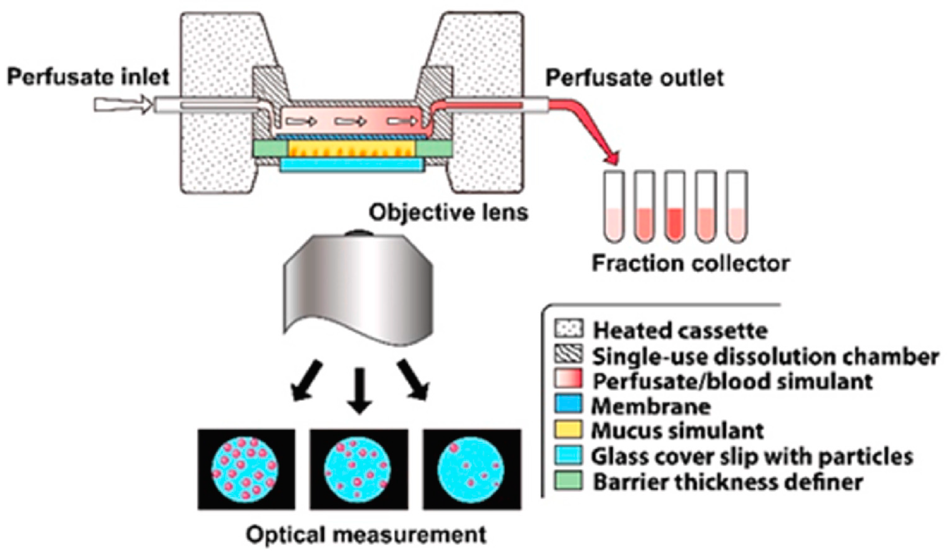 Pharmaceutics 15 00983 g009