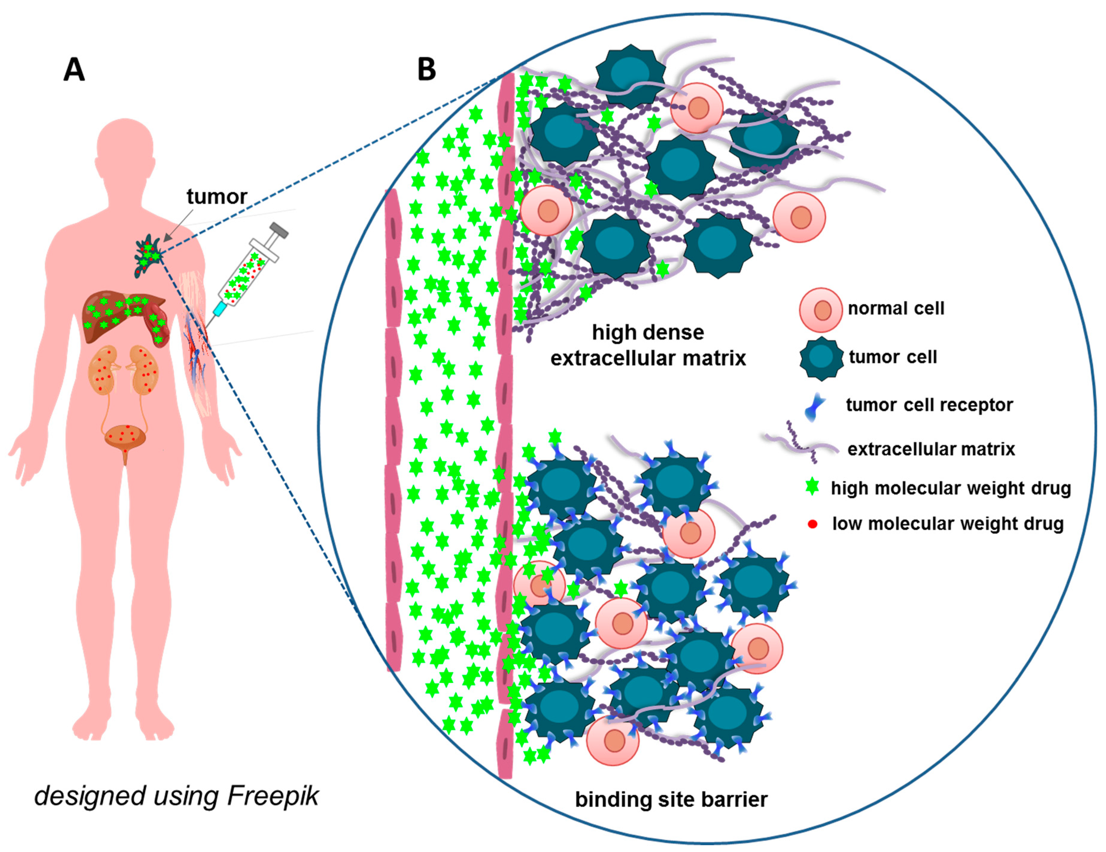 Pharmaceutics 15 00987 g002