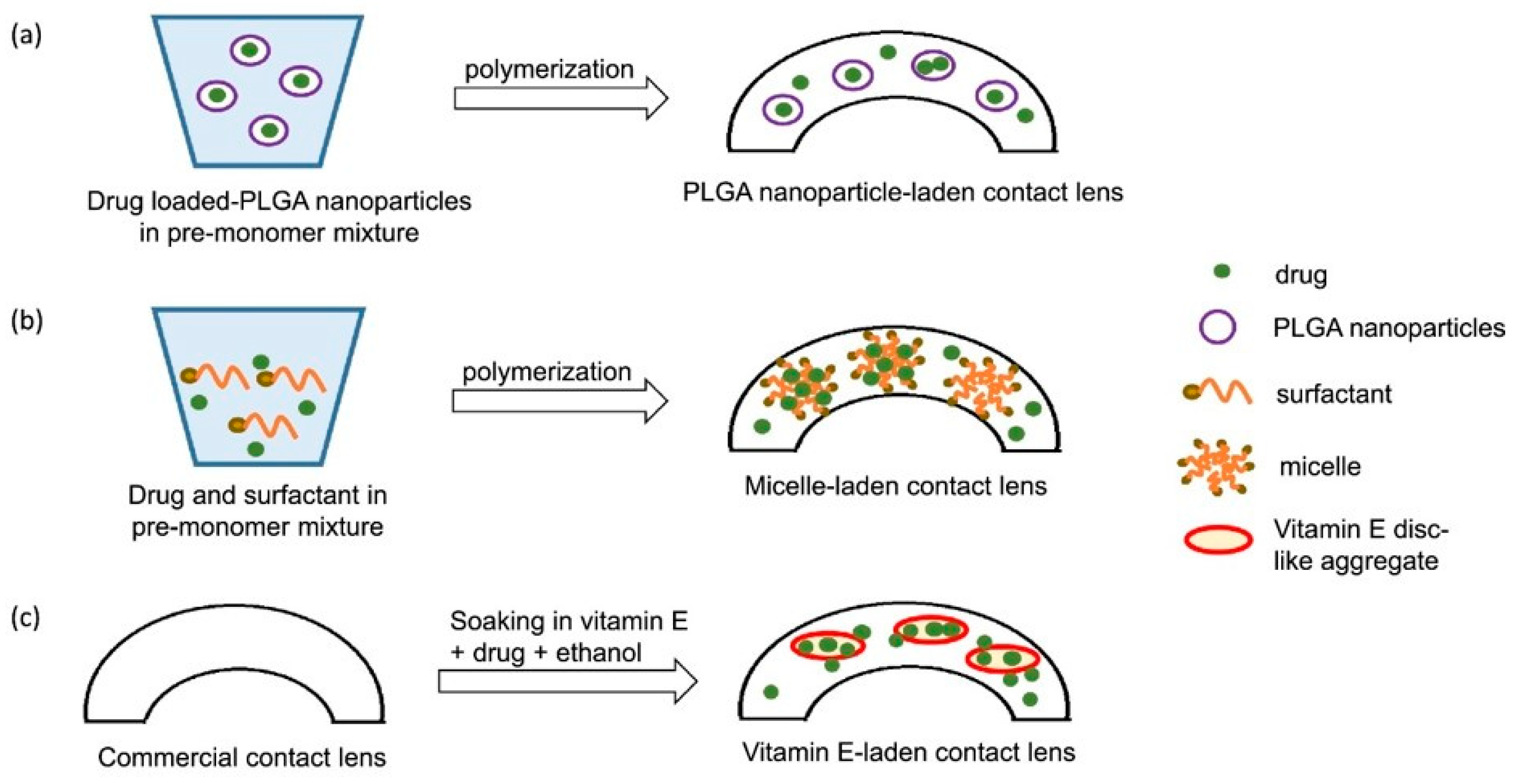 Pharmaceutics 15 00990 g003