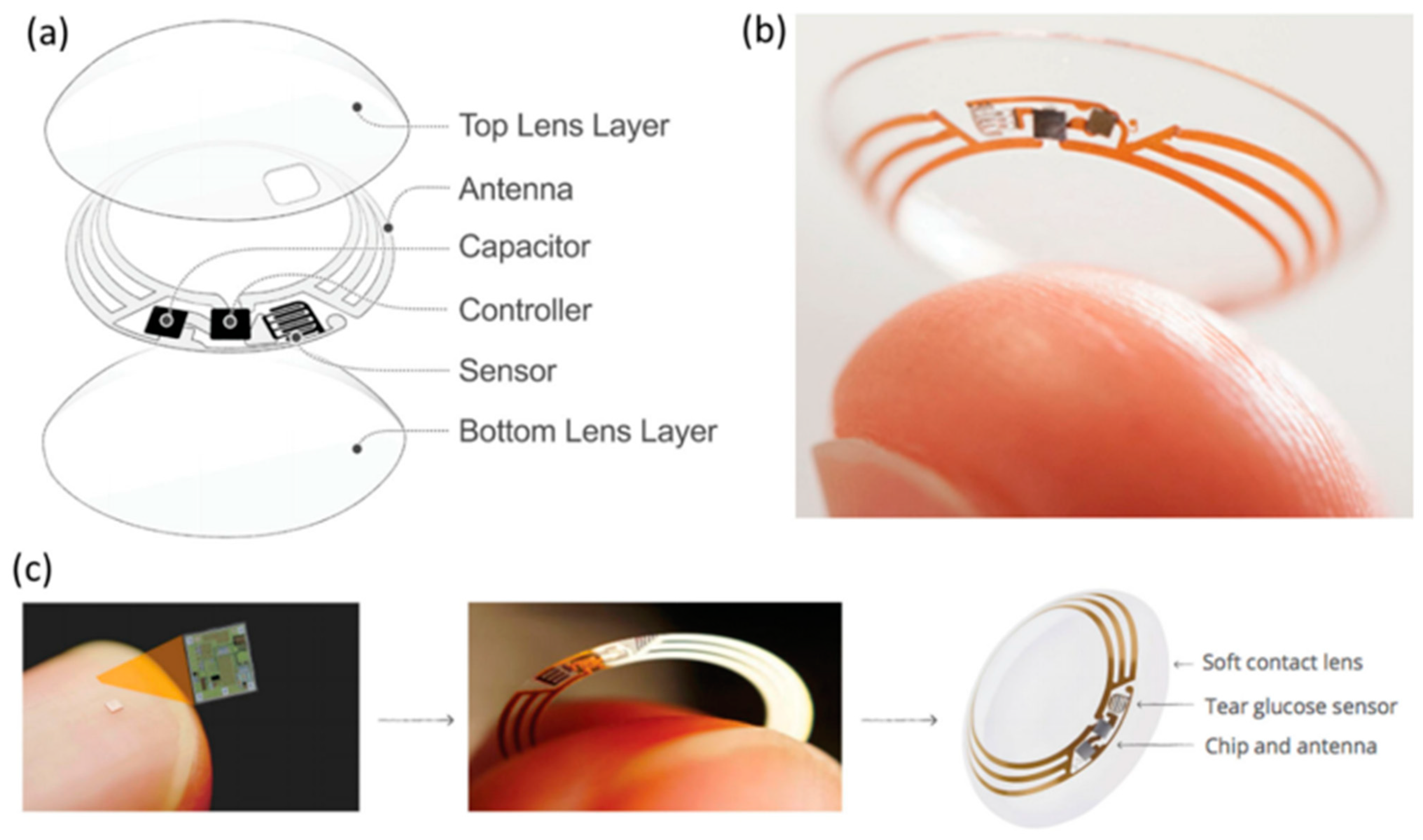 Pharmaceutics 15 00990 g008