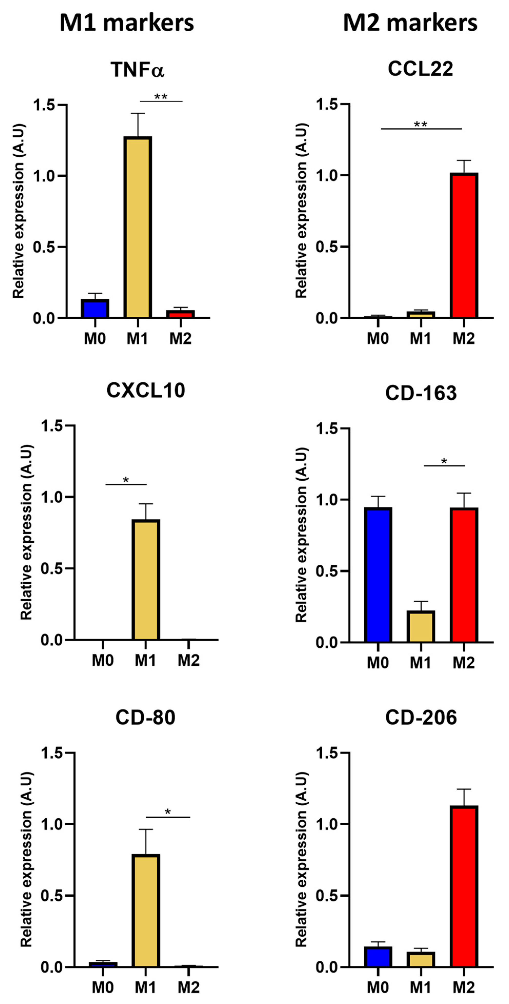 Pharmaceutics 15 00997 g004