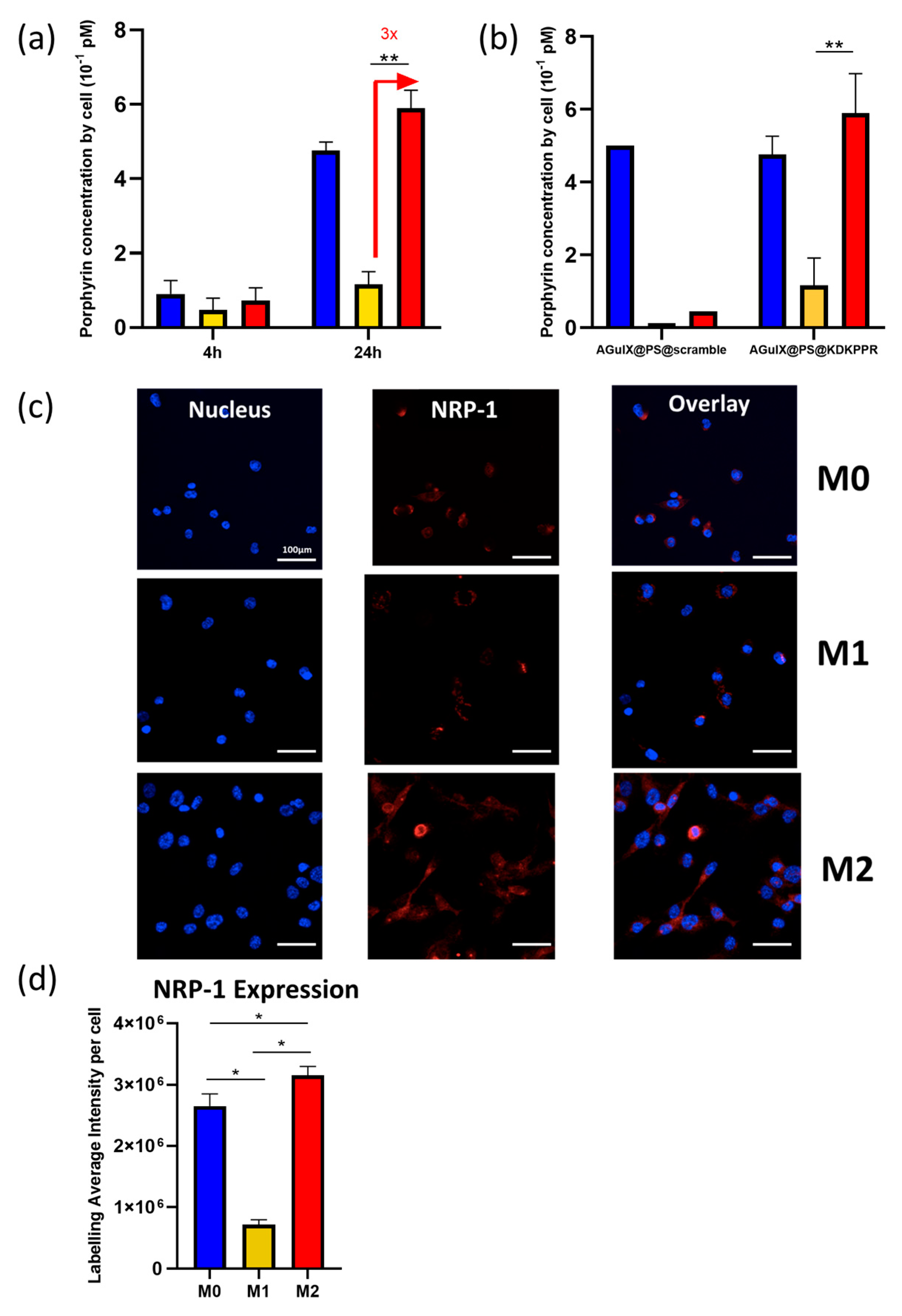 Pharmaceutics 15 00997 g005