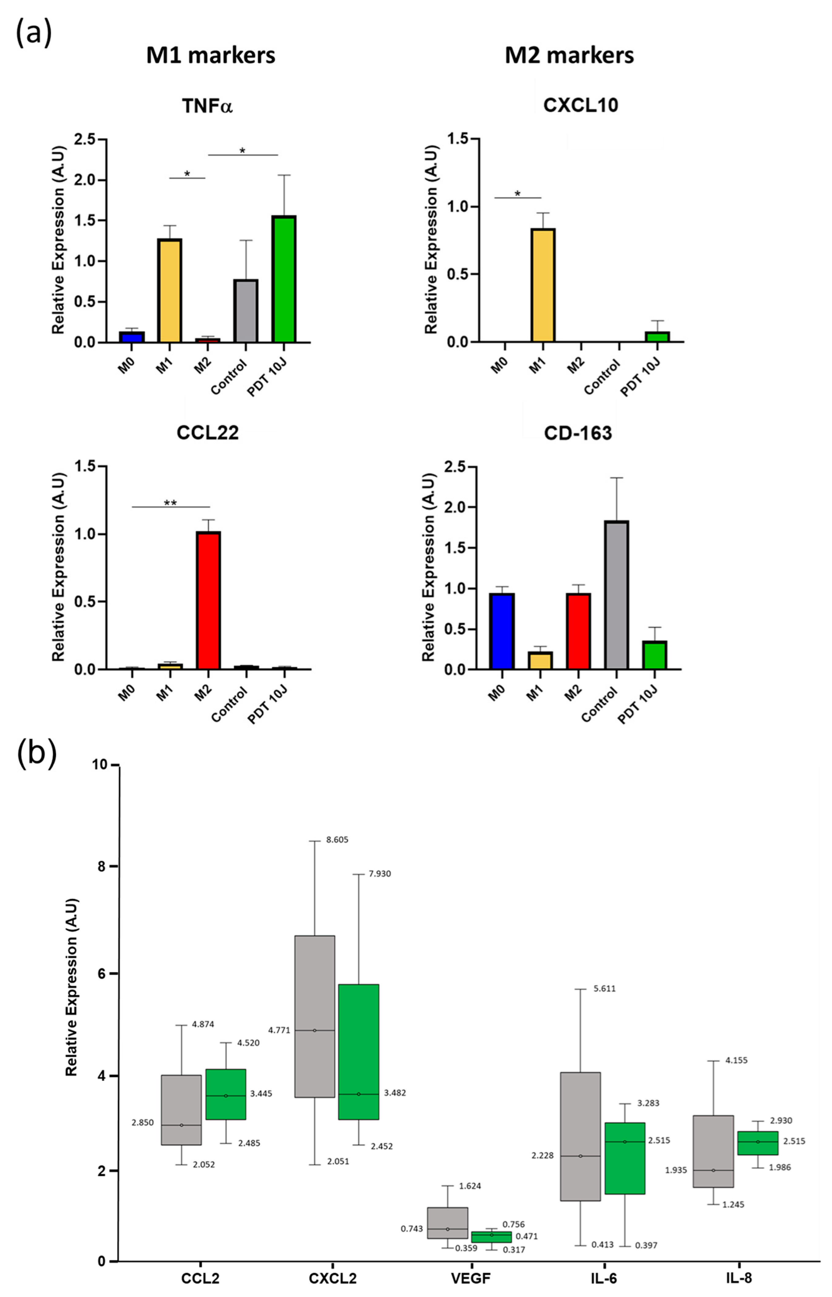 Pharmaceutics 15 00997 g008