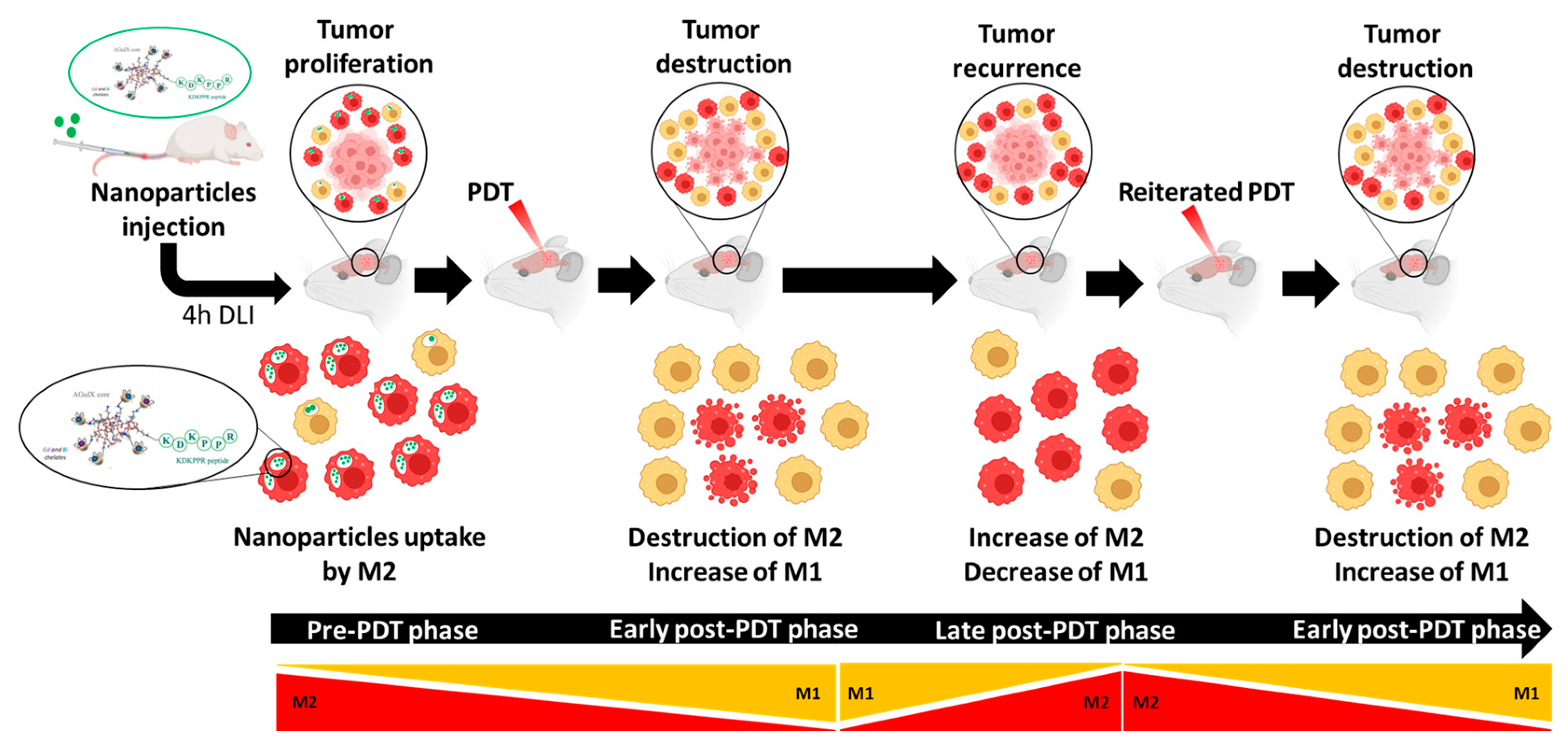 Pharmaceutics 15 00997 g010