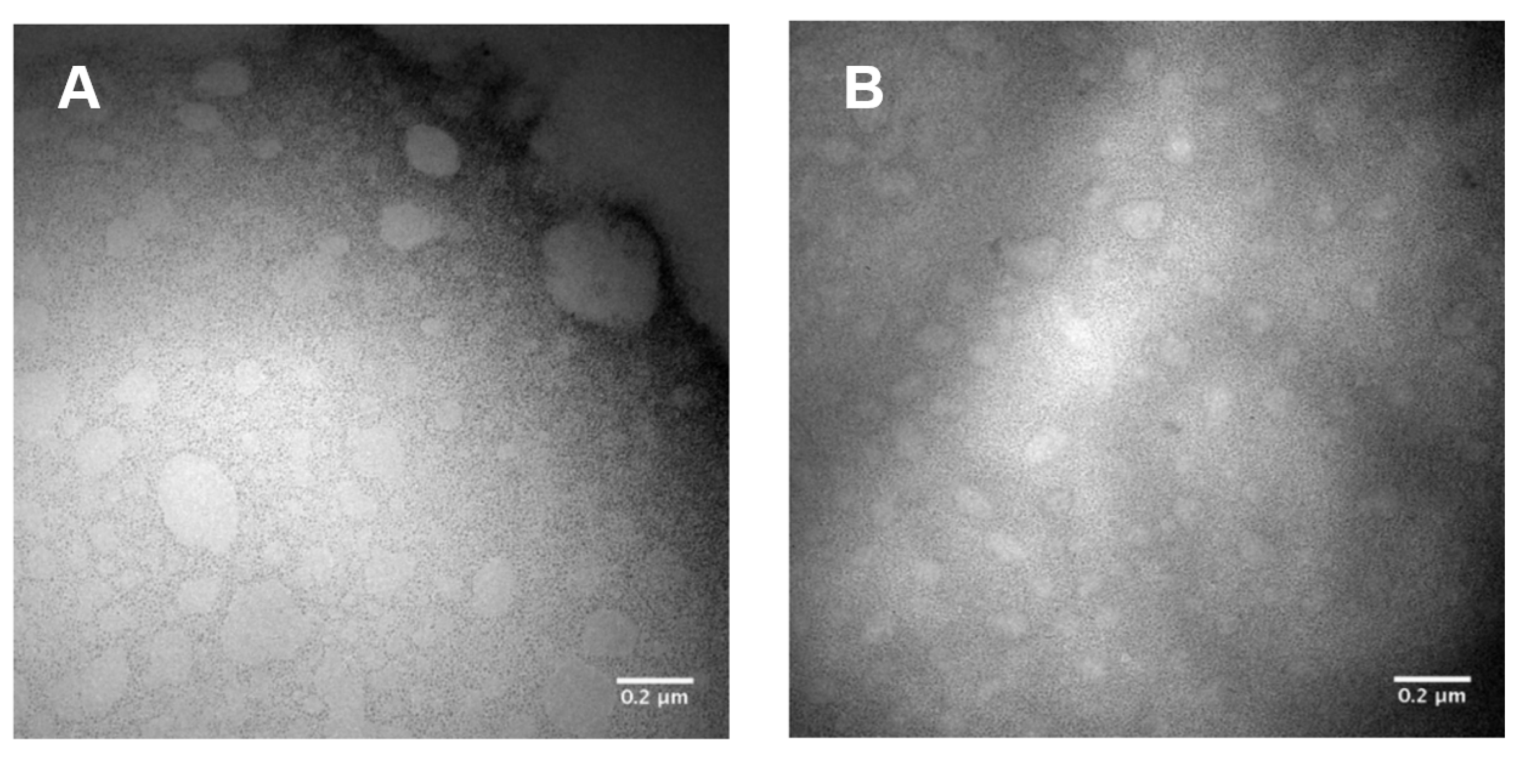 Pharmaceutics 15 00999 g001