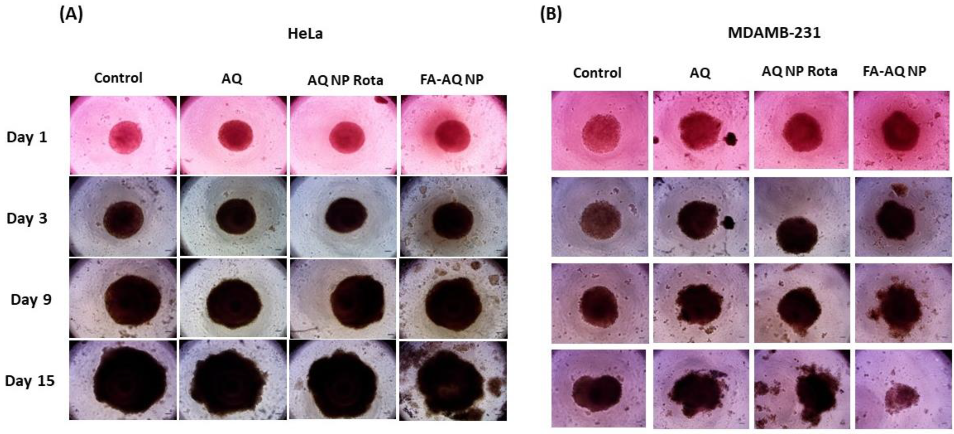 Pharmaceutics 15 01001 g008 Pharmaceutics 15 01001 g008