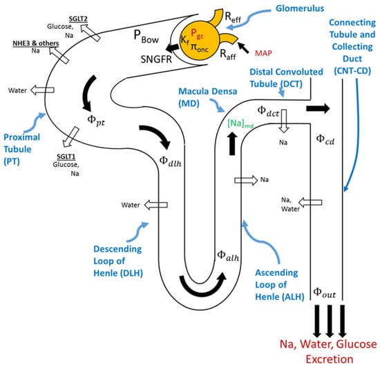 Pharmaceutics 15 01002 g001