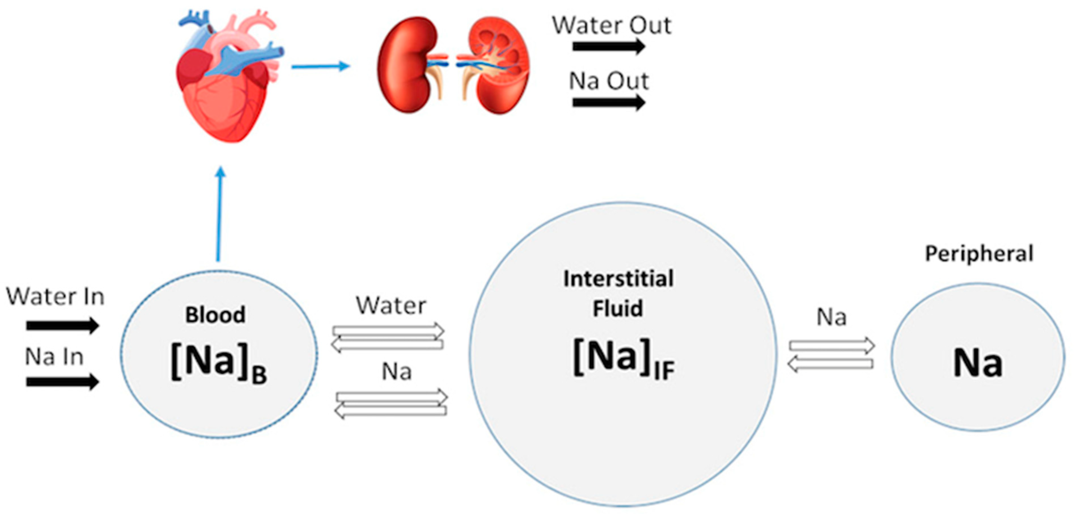 Pharmaceutics 15 01002 g002