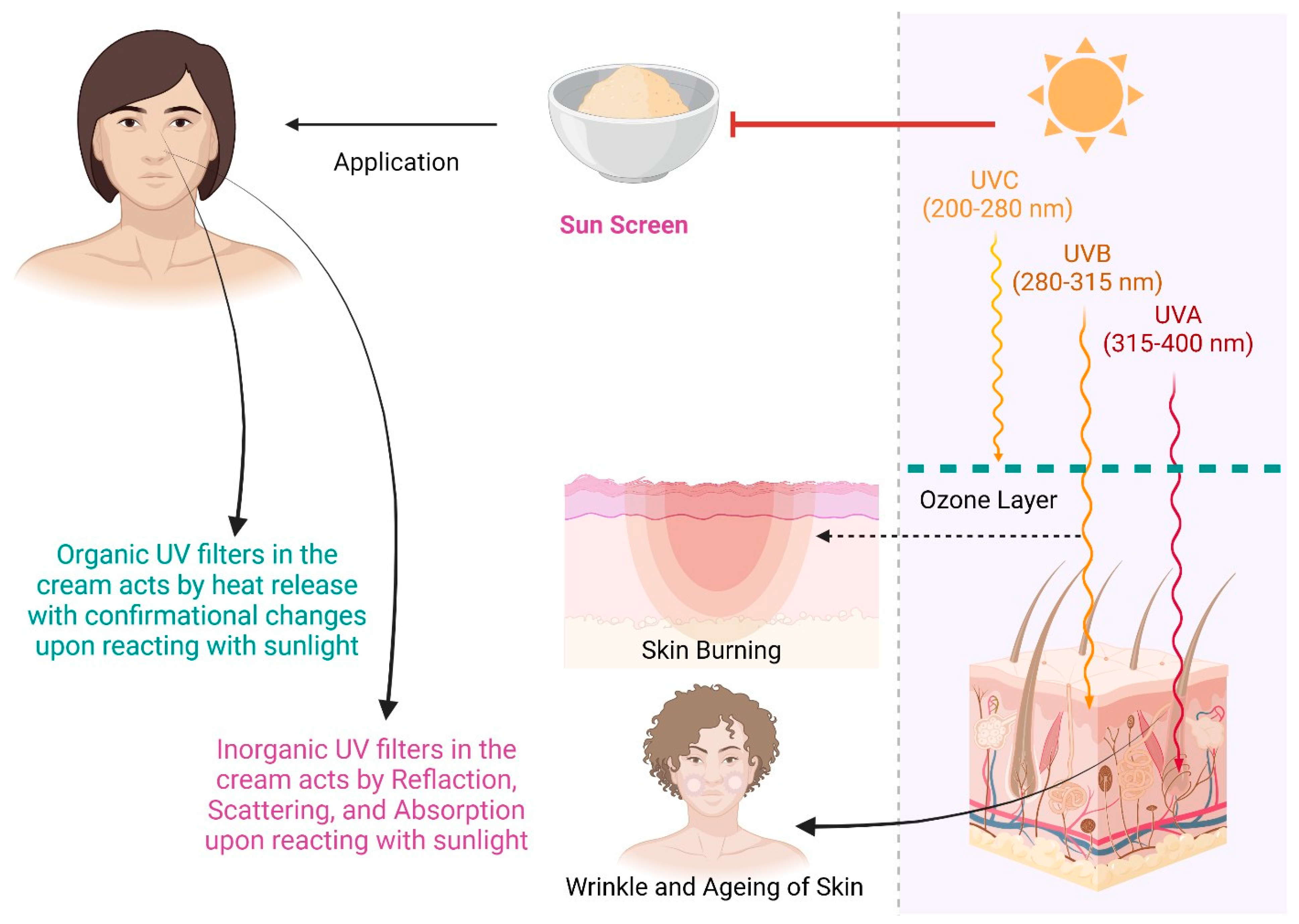 Pharmaceutics 15 01008 g001