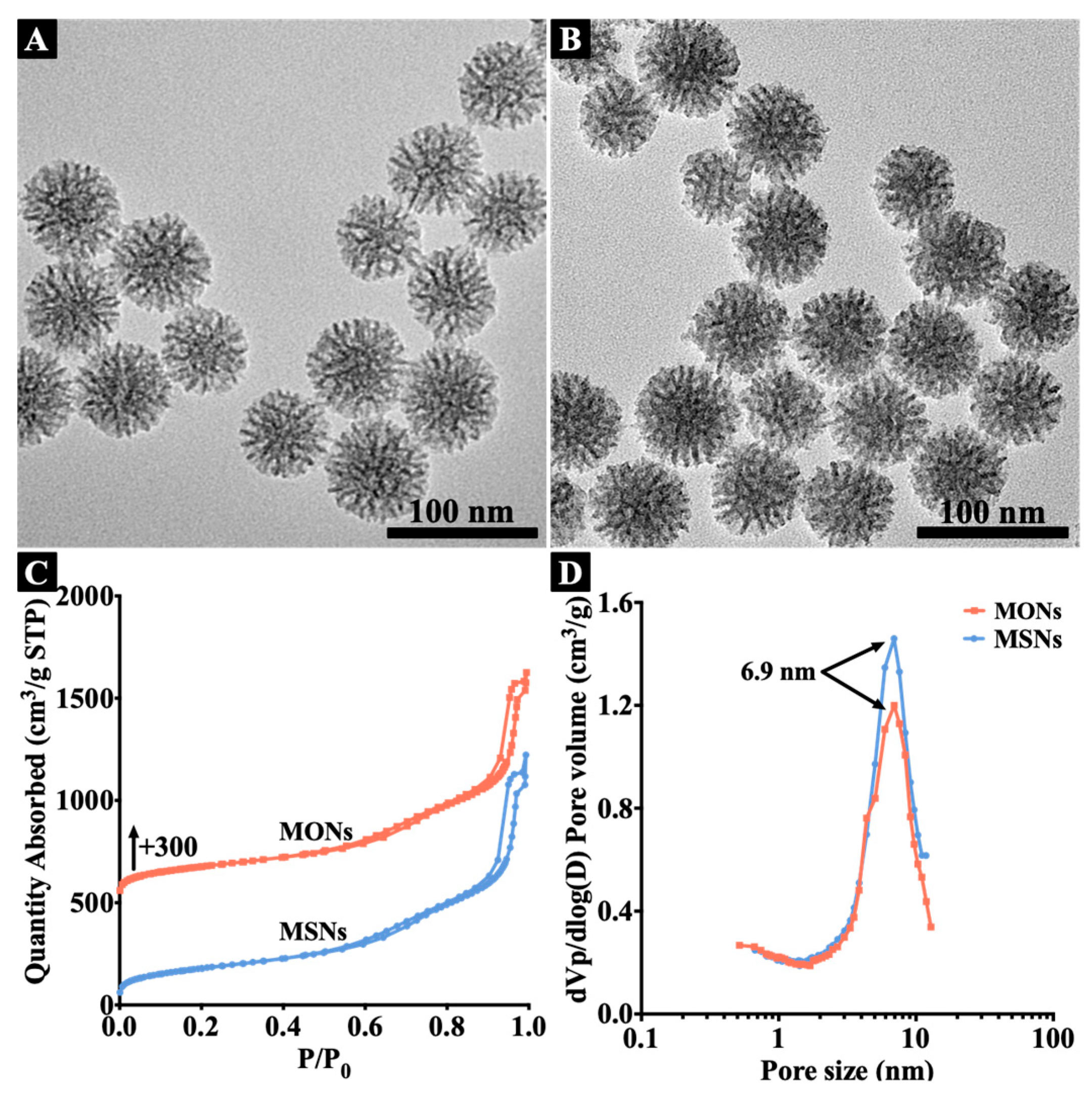 Pharmaceutics 15 01013 g001