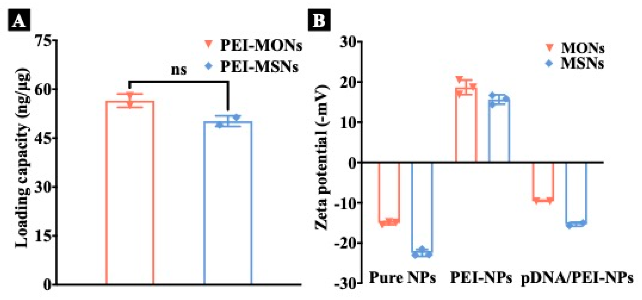 Pharmaceutics 15 01013 g003