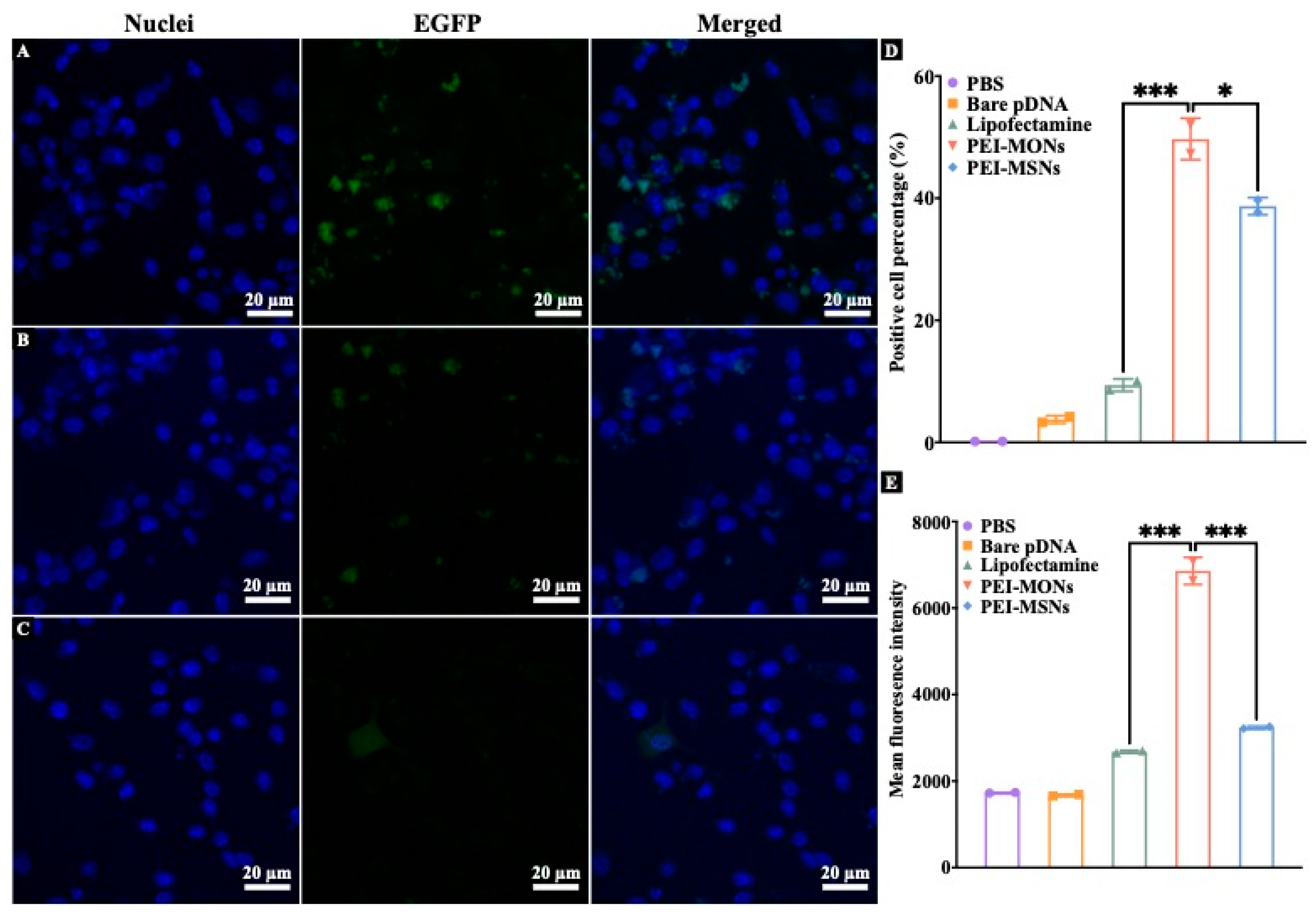 Pharmaceutics 15 01013 g004