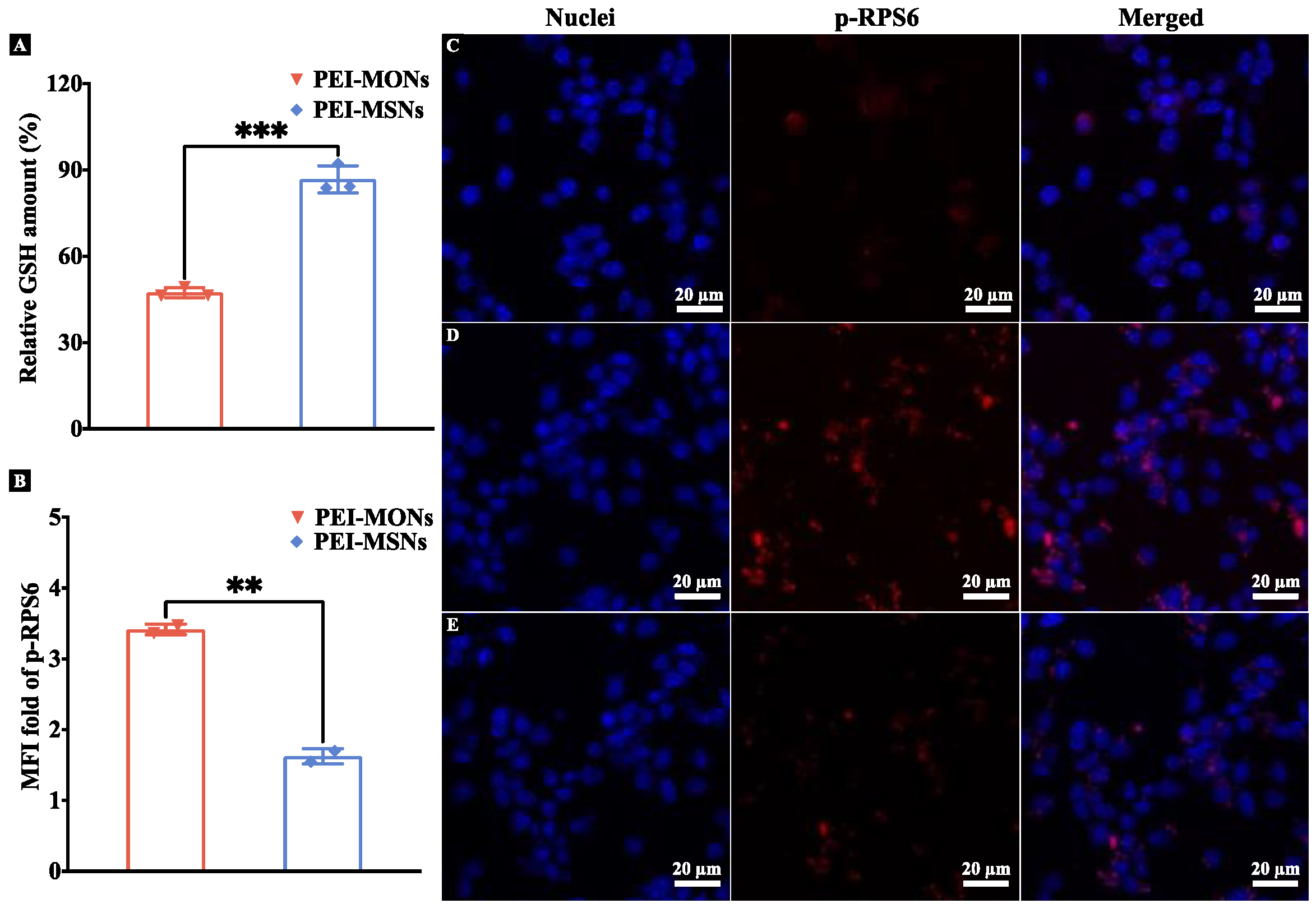 Pharmaceutics 15 01013 g005