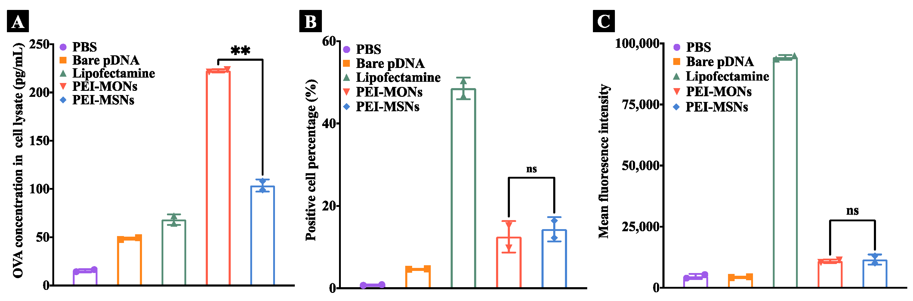 Pharmaceutics 15 01013 g006