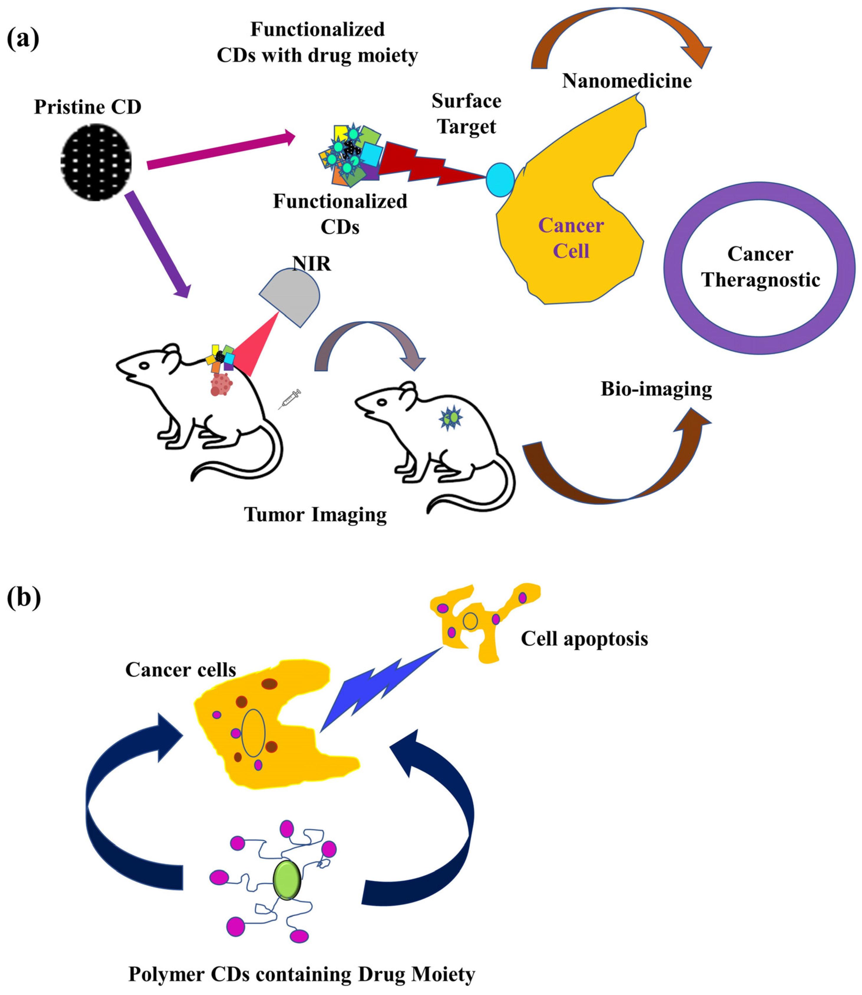Pharmaceutics 15 01019 g002 Pharmaceutics 15 01019 g002