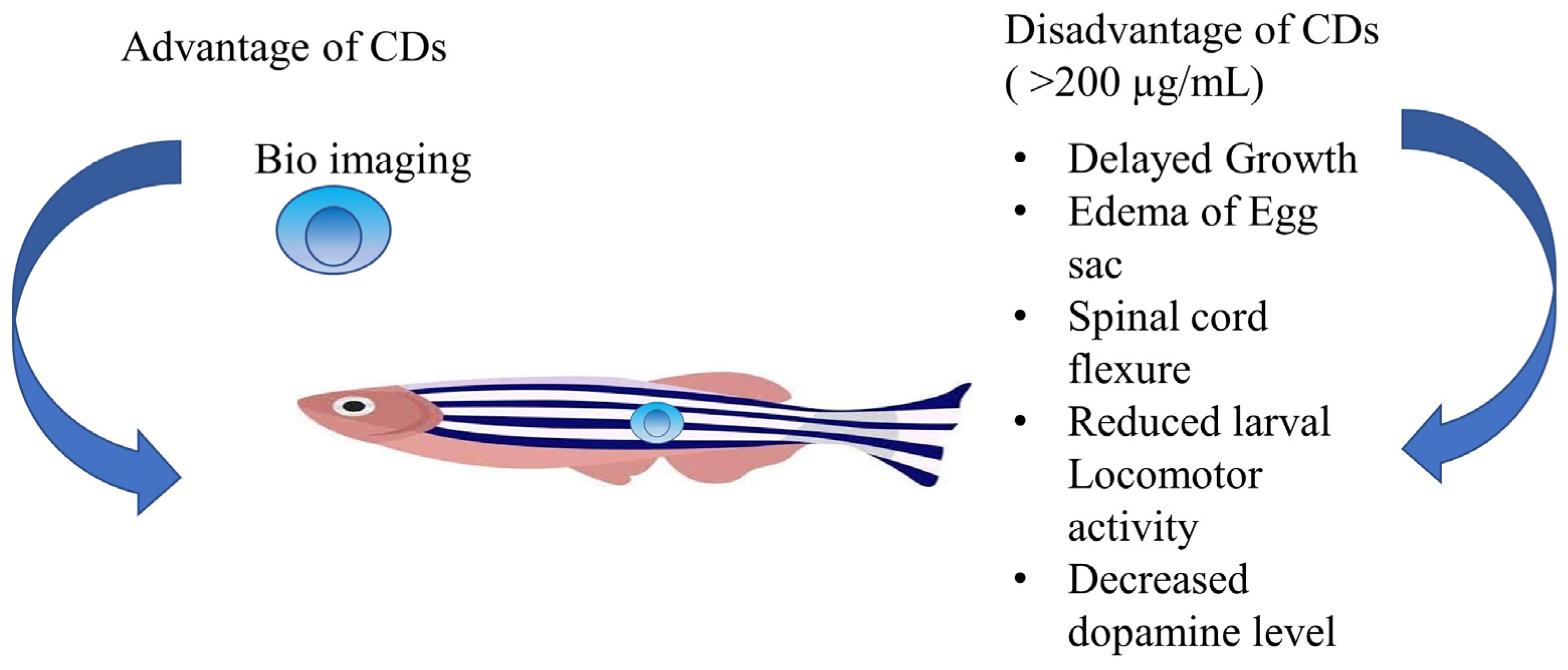 Pharmaceutics 15 01019 g003 Pharmaceutics 15 01019 g003
