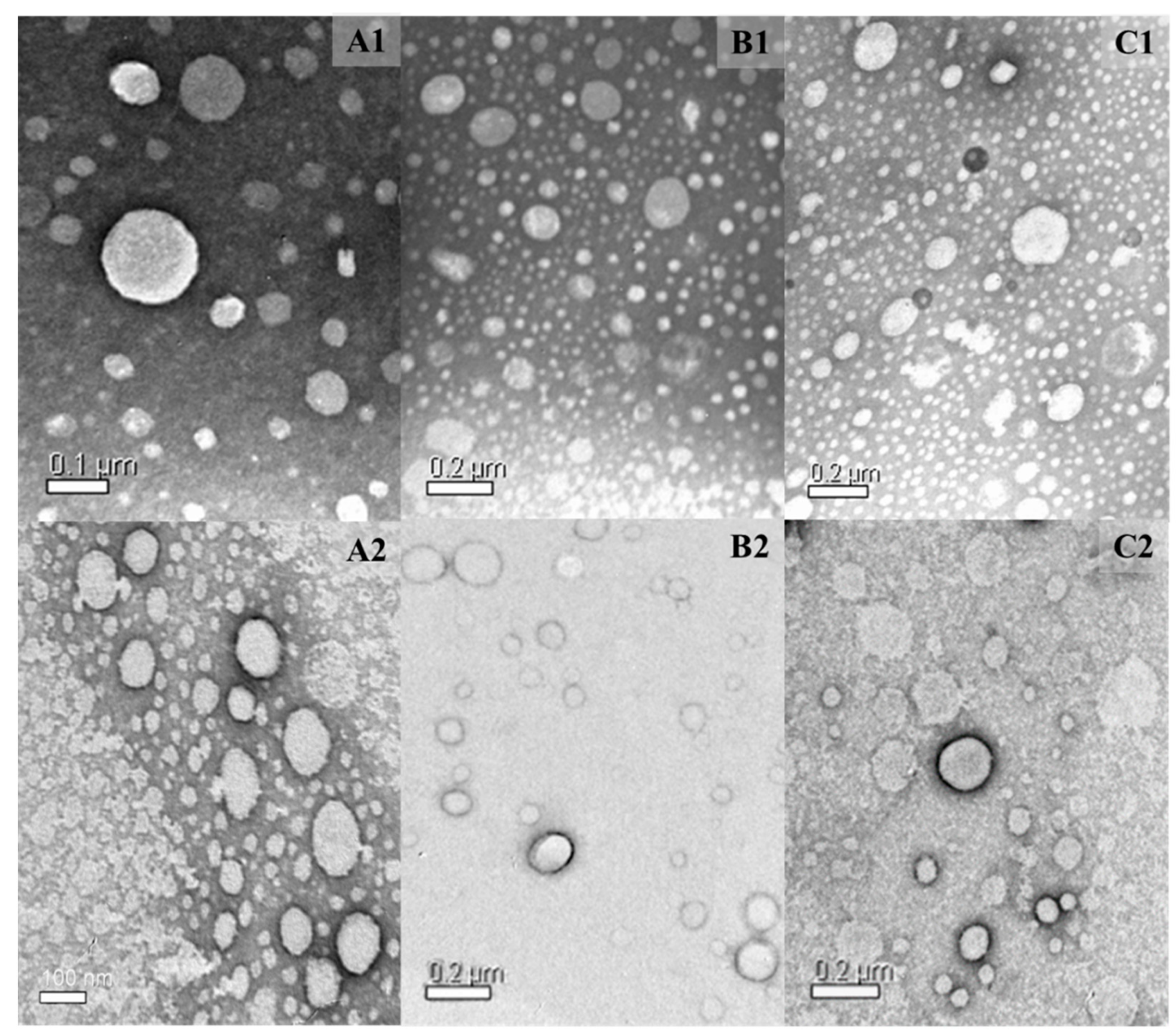 Pharmaceutics 15 01021 g001