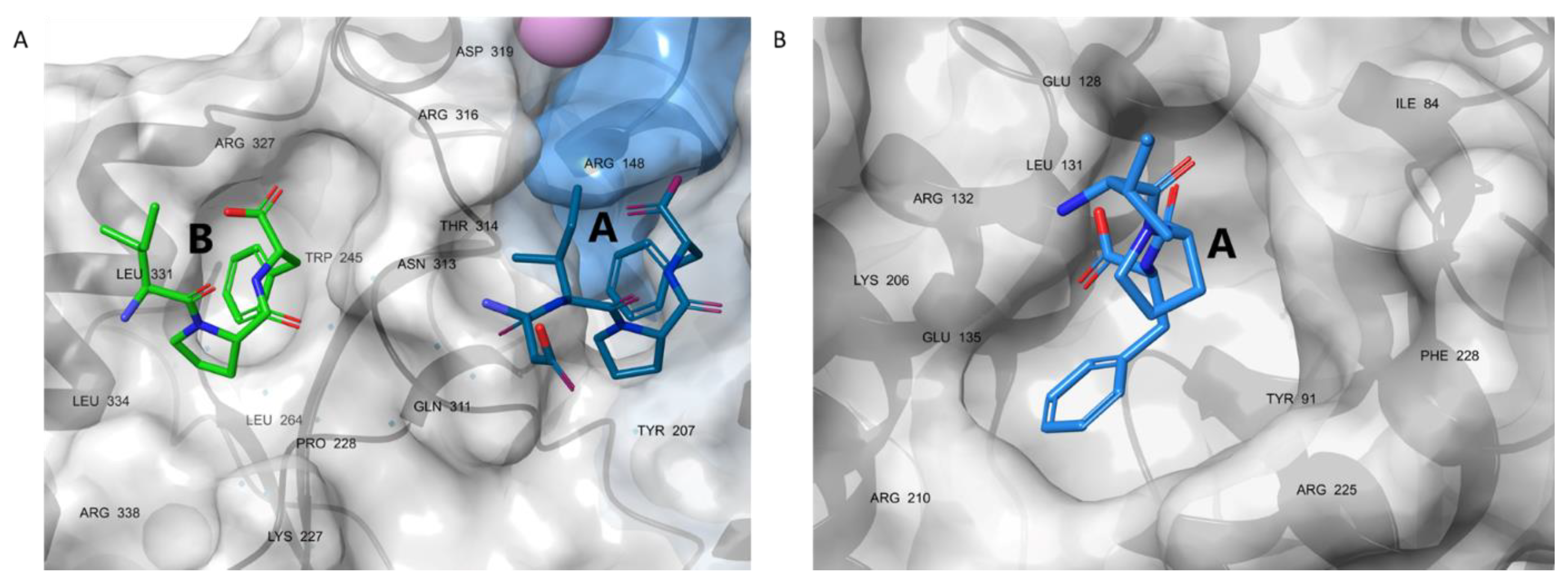 Pharmaceutics 15 01032 g002