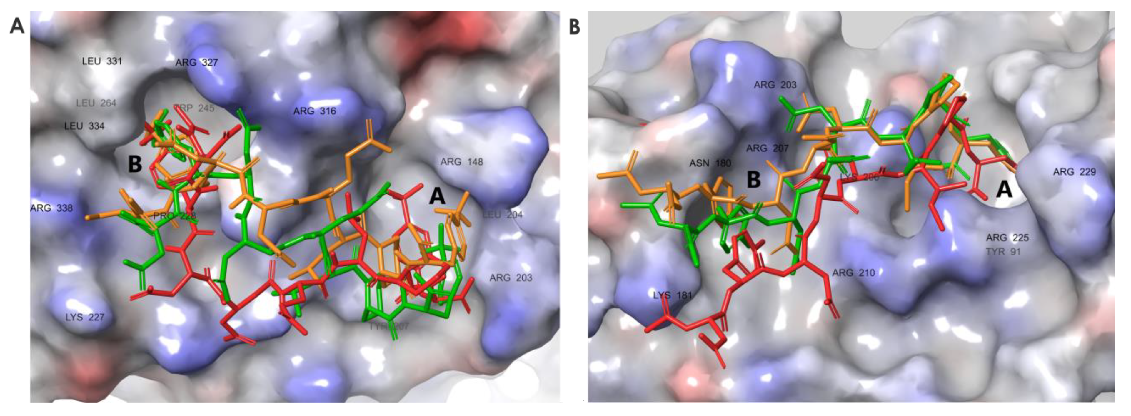 Pharmaceutics 15 01032 g008