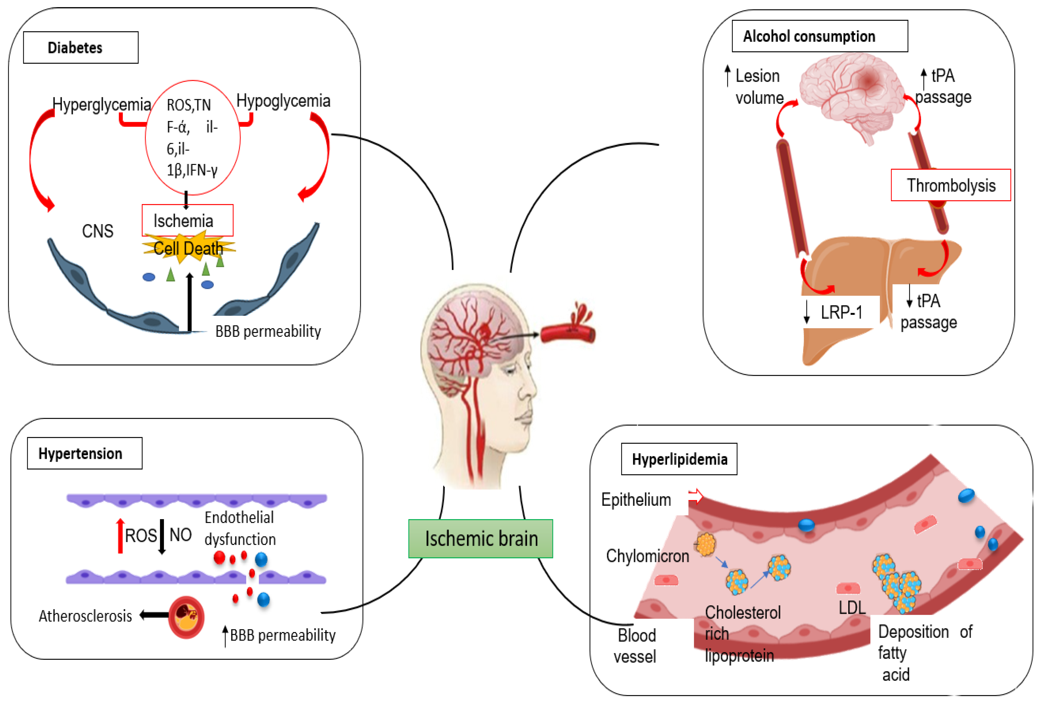 Pharmaceutics 15 01036 g002 Pharmaceutics 15 01036 g002