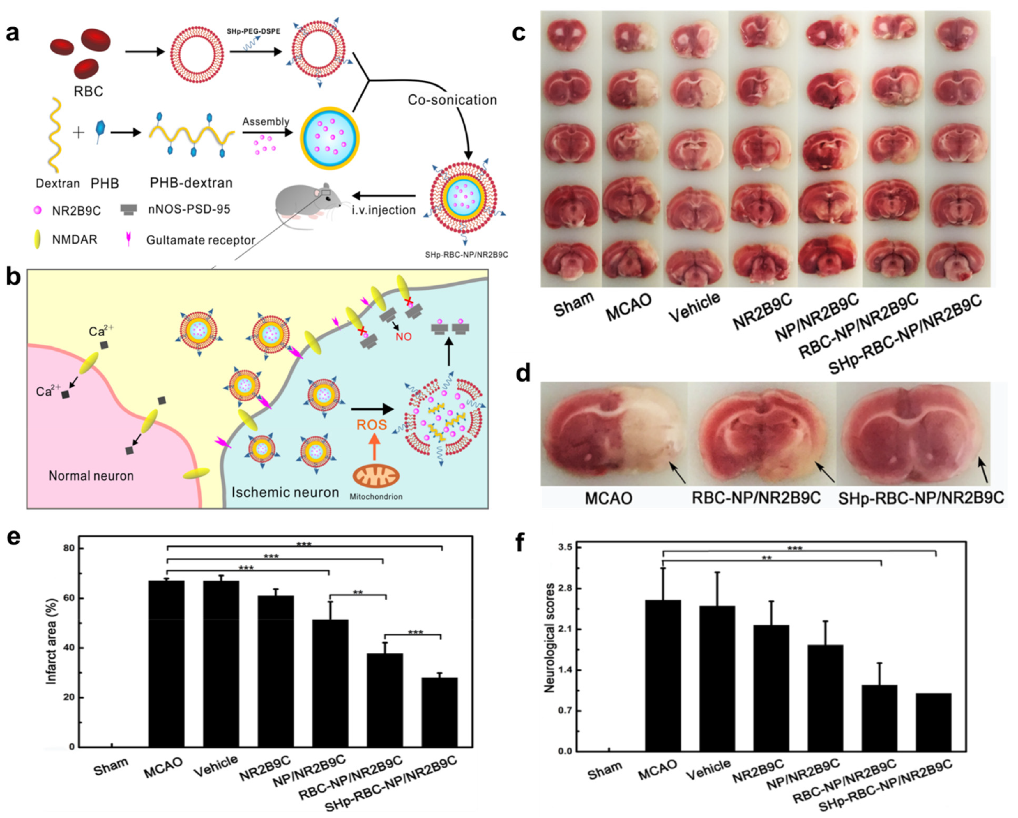 Pharmaceutics 15 01036 g003 Pharmaceutics 15 01036 g003
