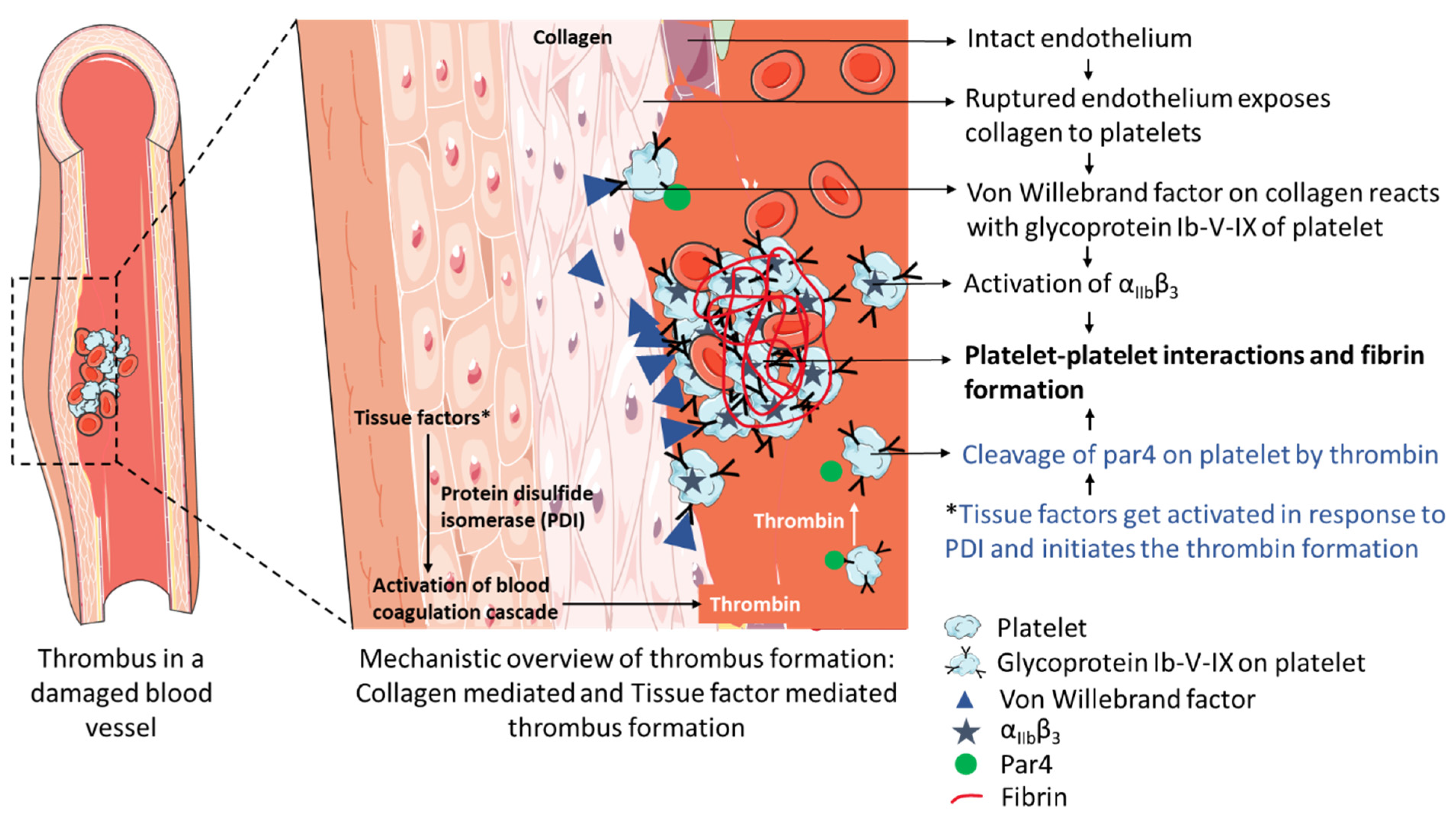 Pharmaceutics 15 01036 g004 Pharmaceutics 15 01036 g004