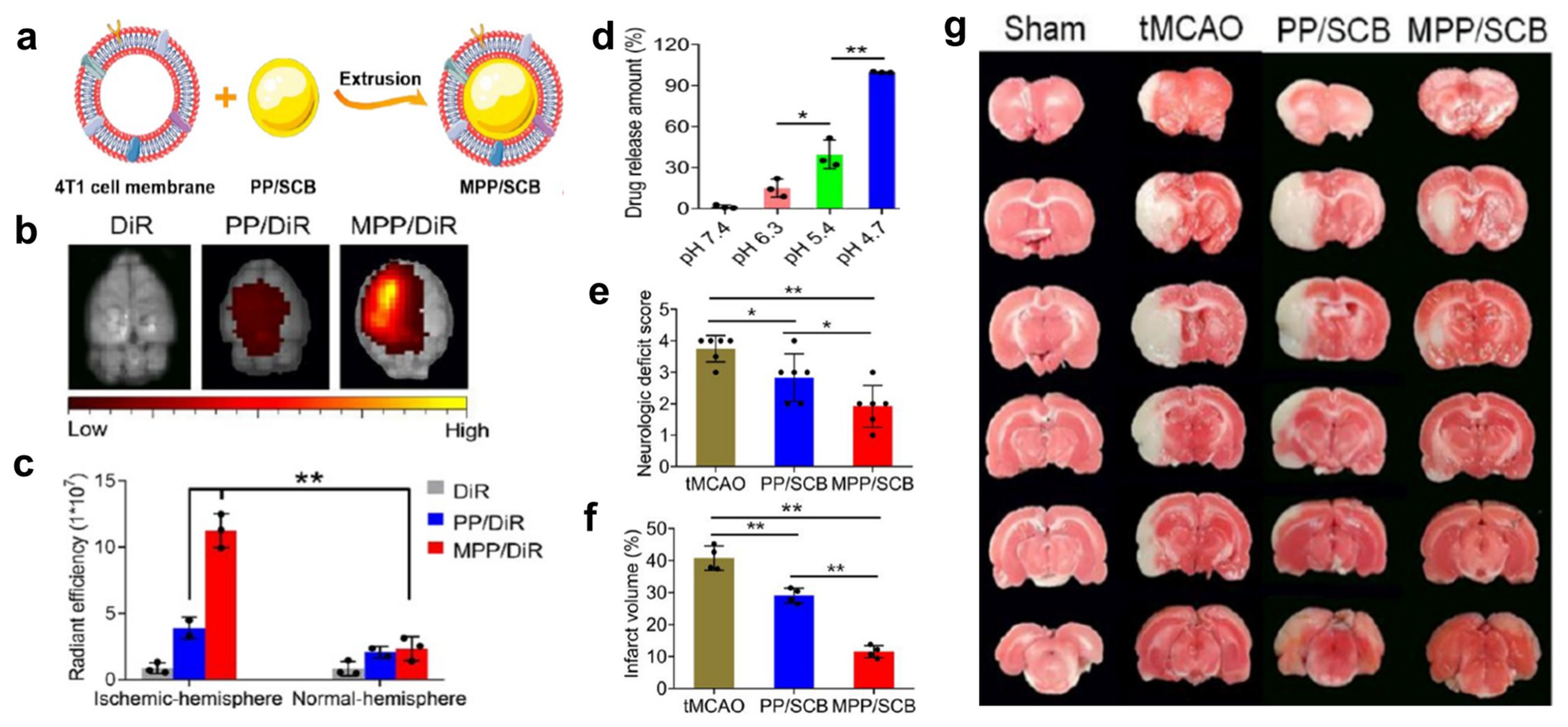 Pharmaceutics 15 01036 g006 Pharmaceutics 15 01036 g006