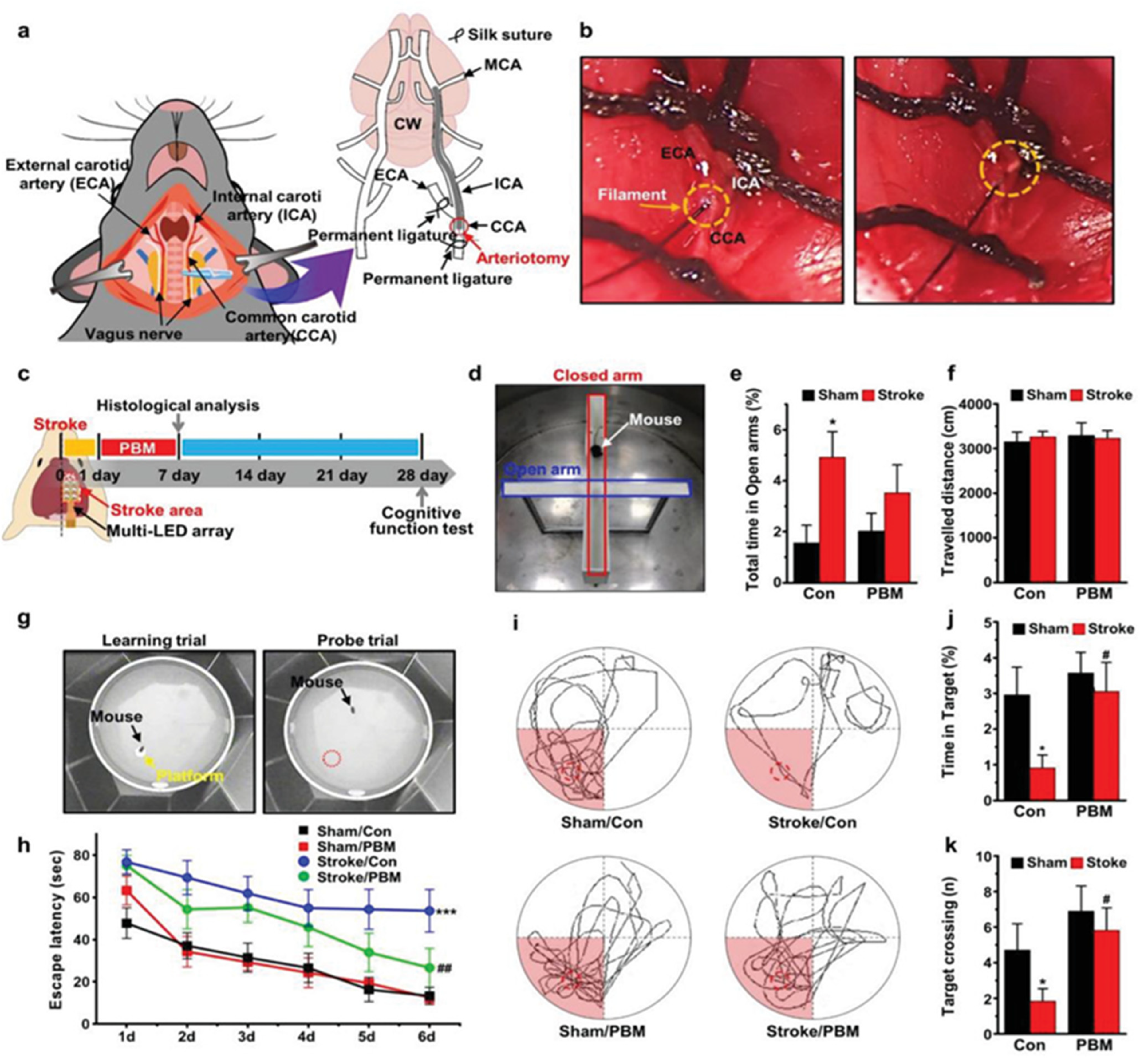 Pharmaceutics 15 01036 g007 Pharmaceutics 15 01036 g007