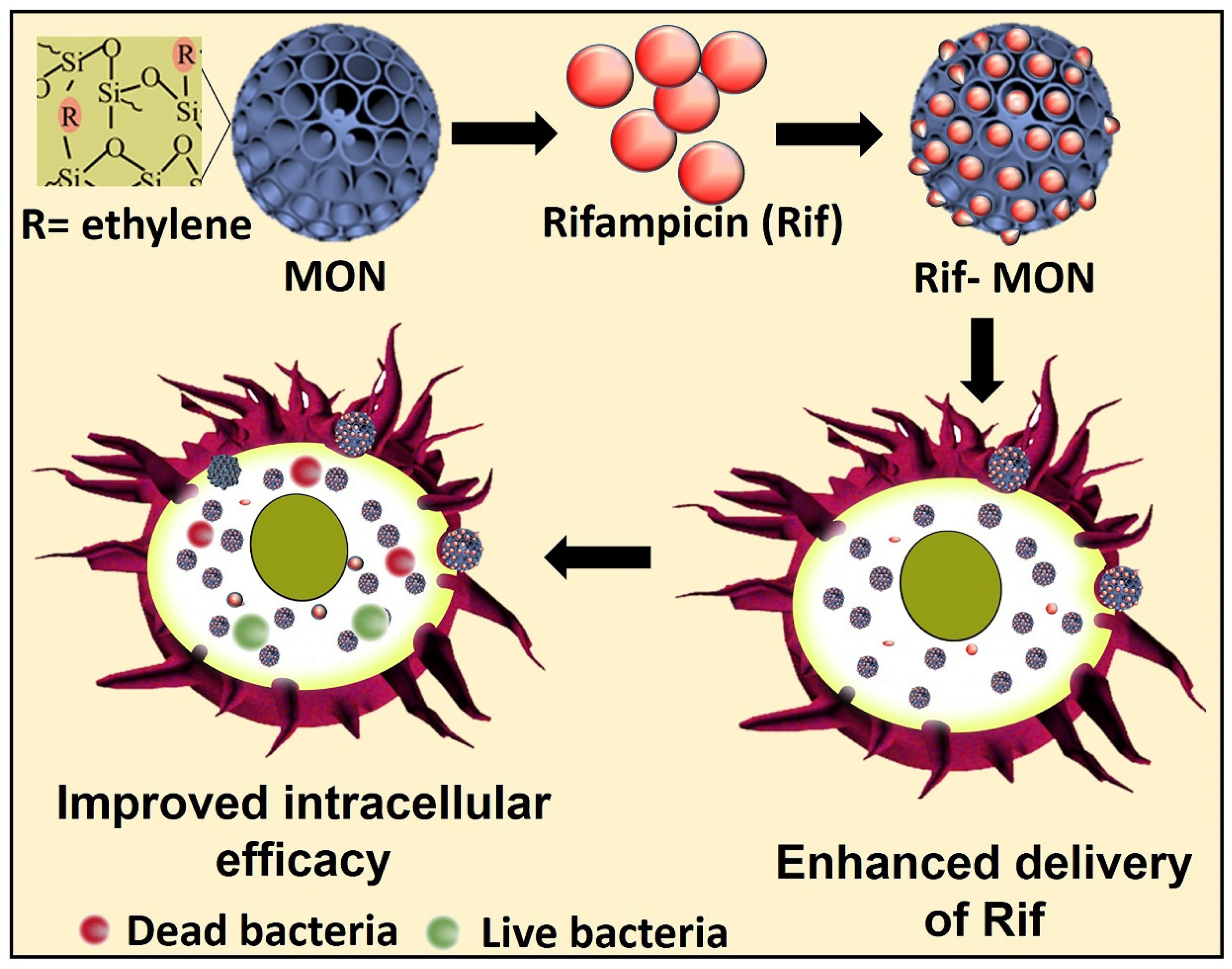 Pharmaceutics 15 01037 g001