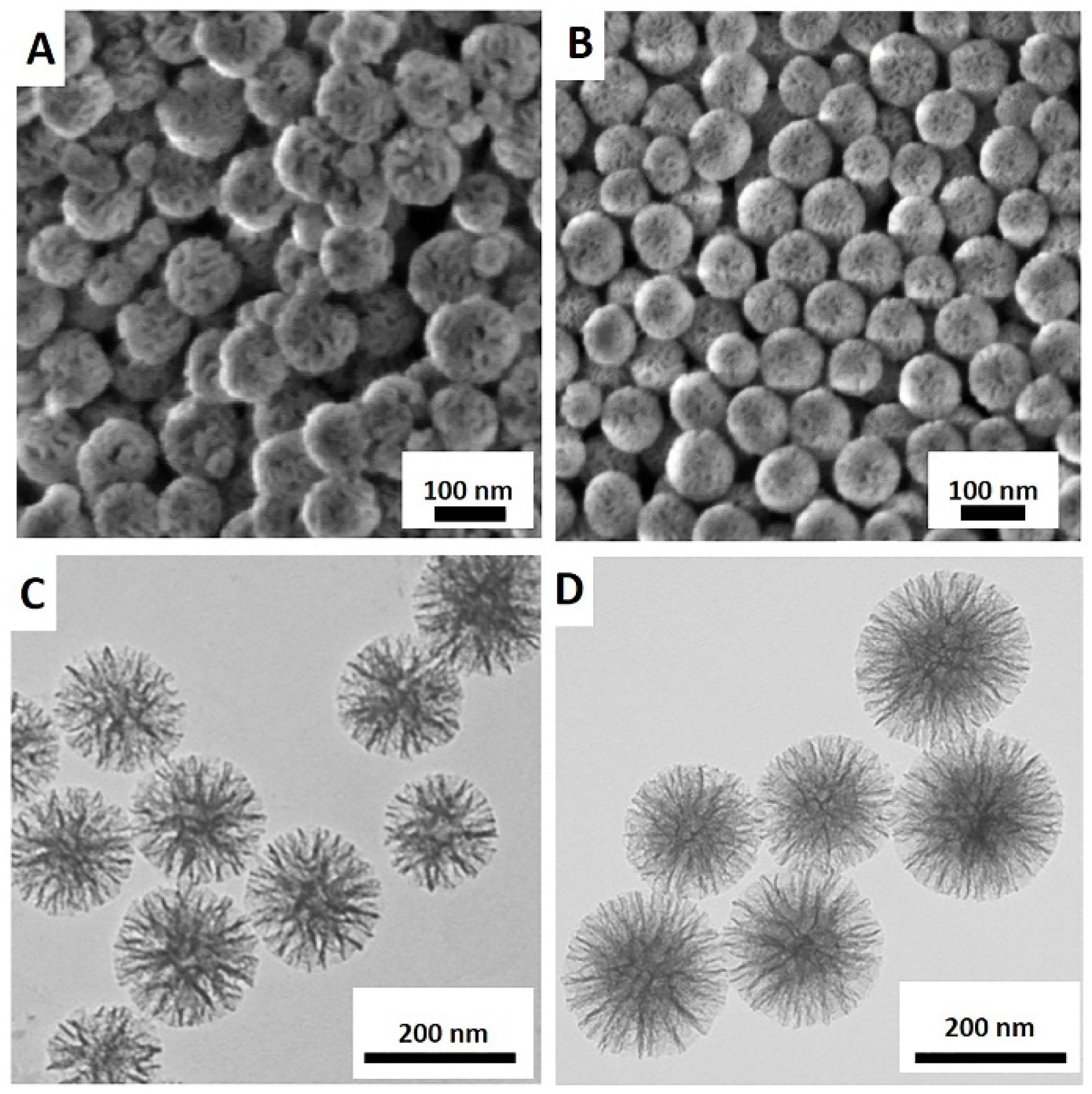 Pharmaceutics 15 01037 g002