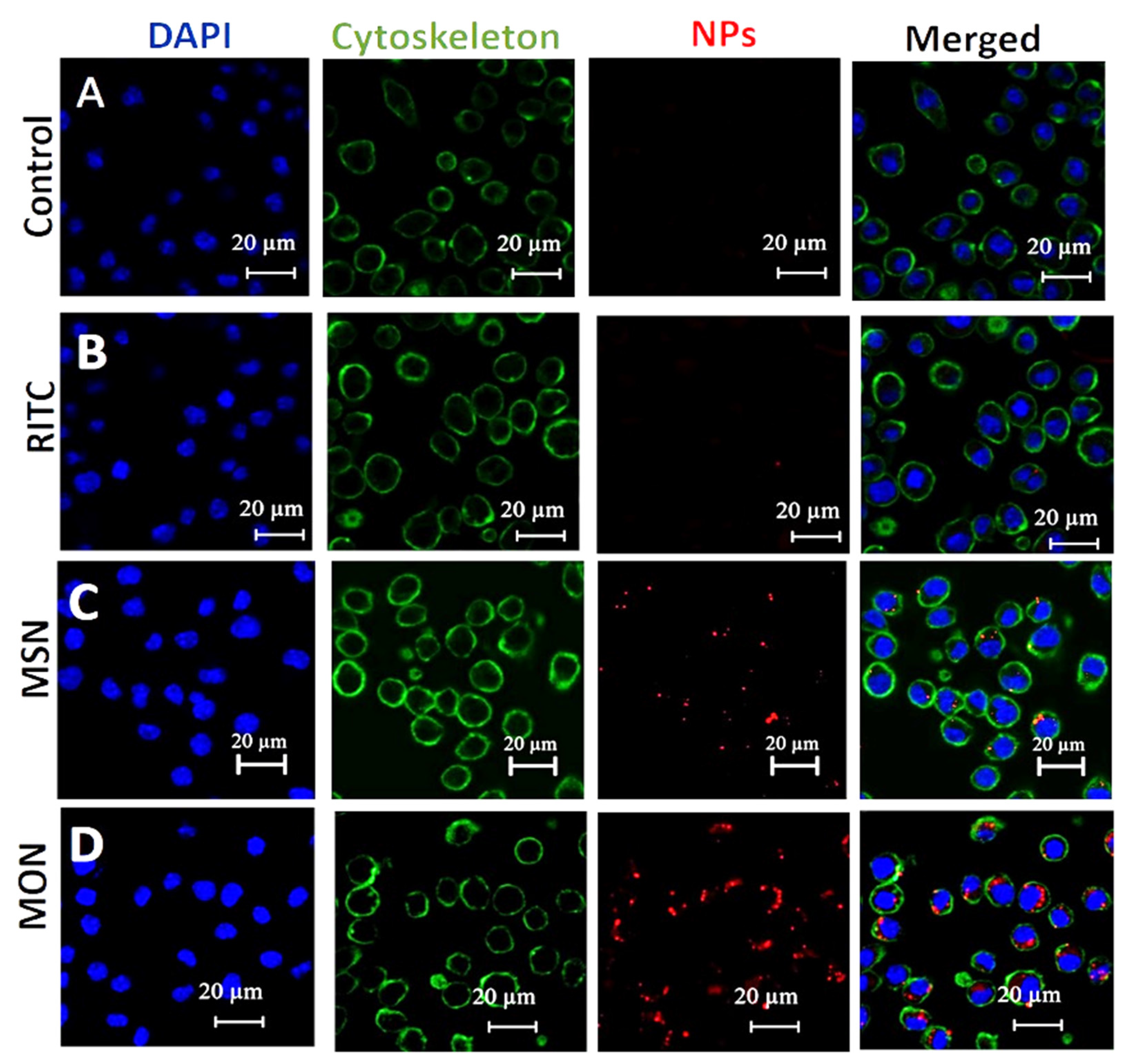 Pharmaceutics 15 01037 g005