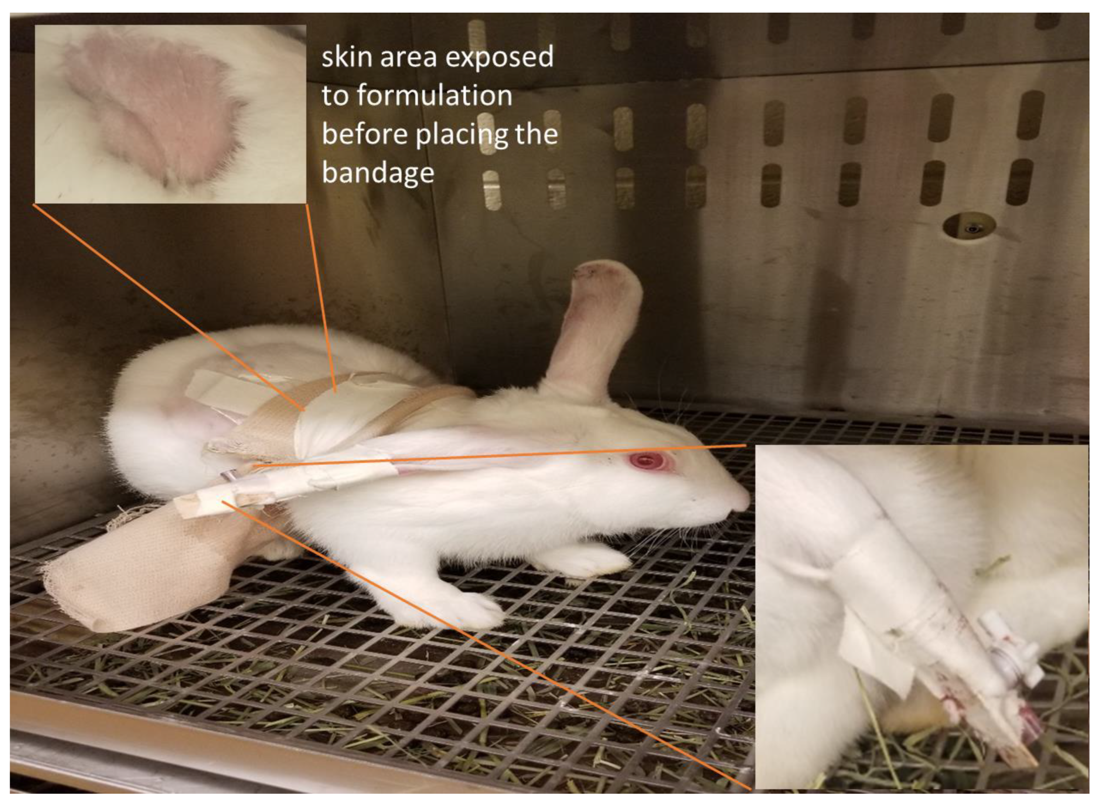 Pharmaceutics 15 01043 g002