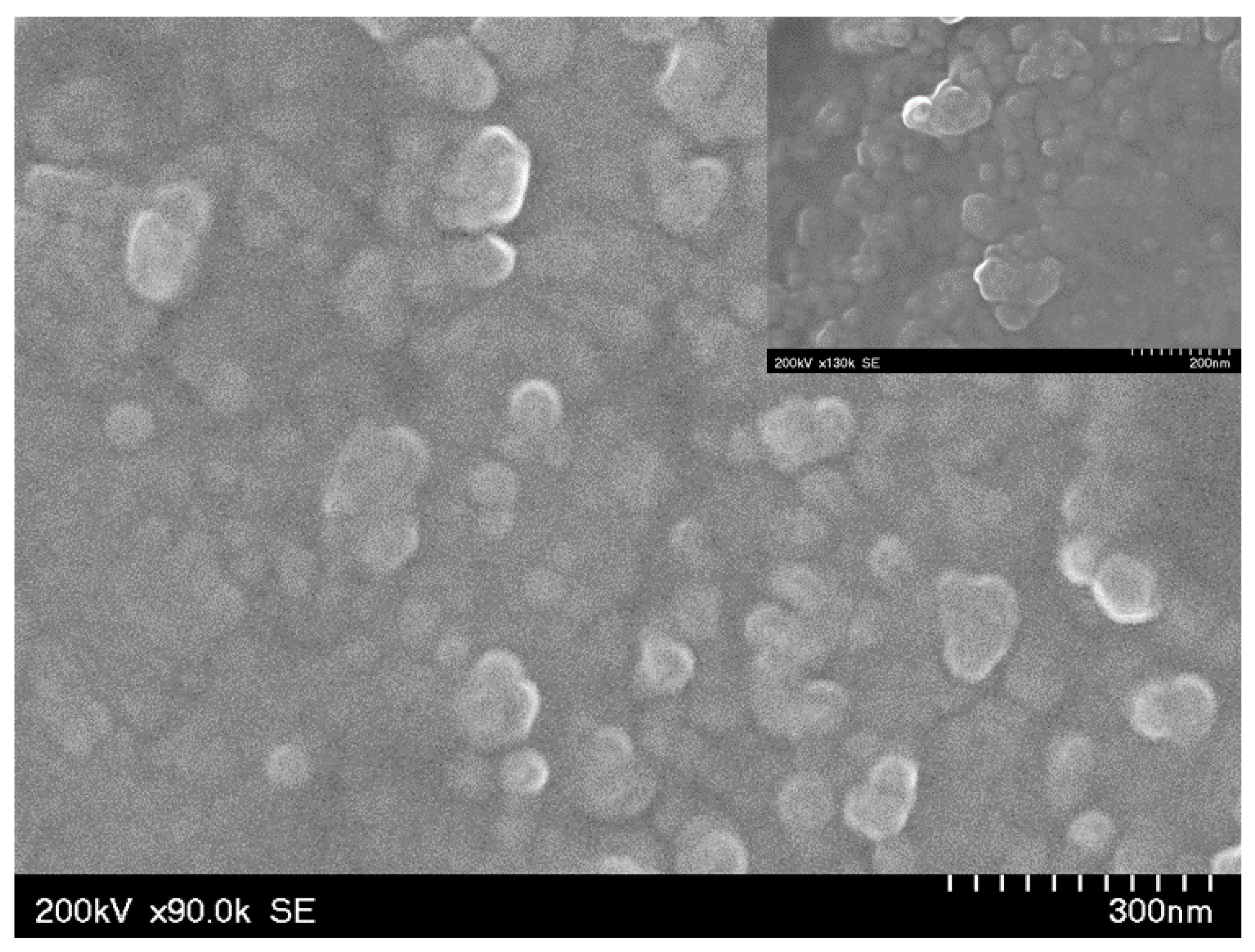 Pharmaceutics 15 01043 g003