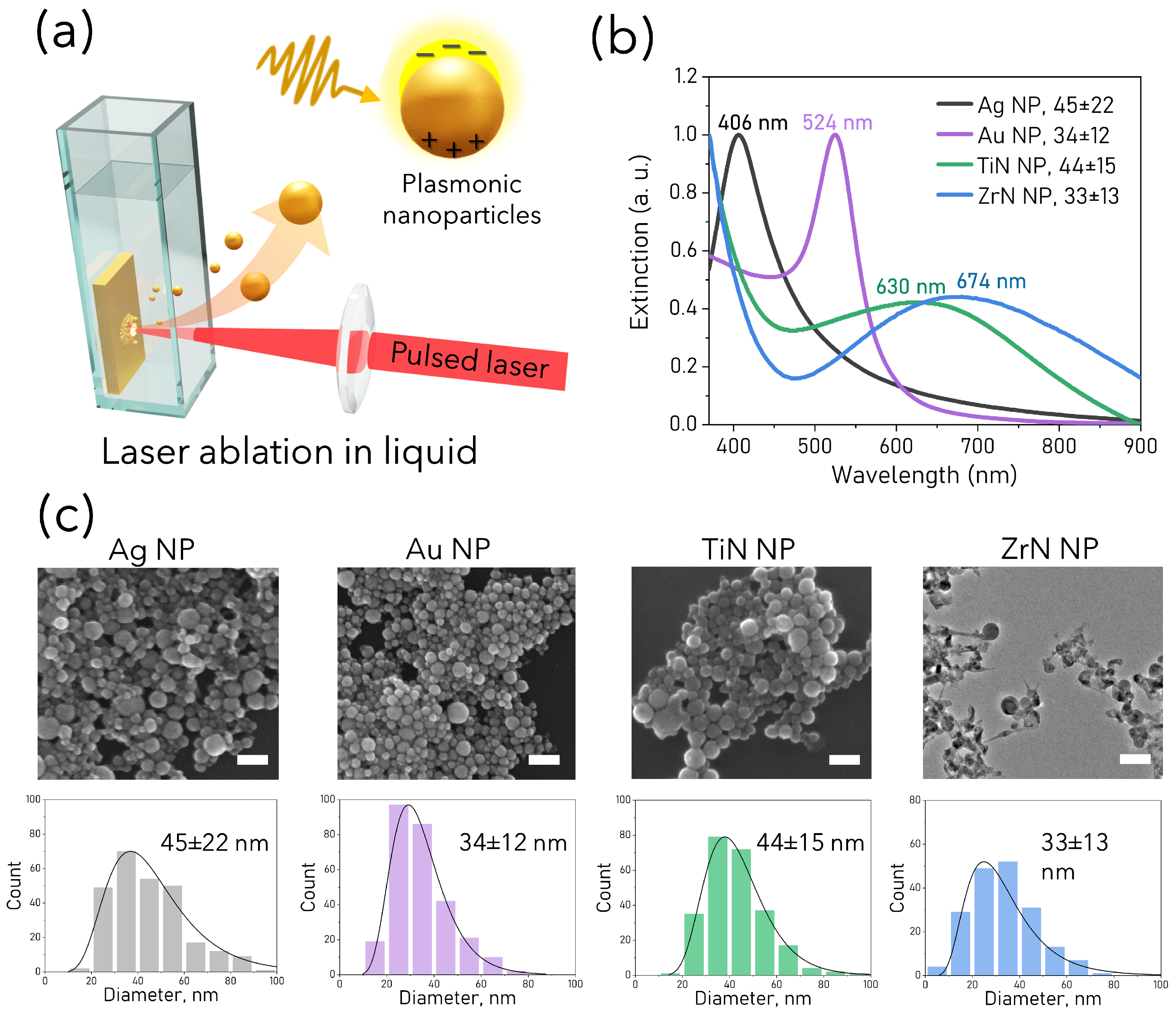Pharmaceutics 15 01046 g001