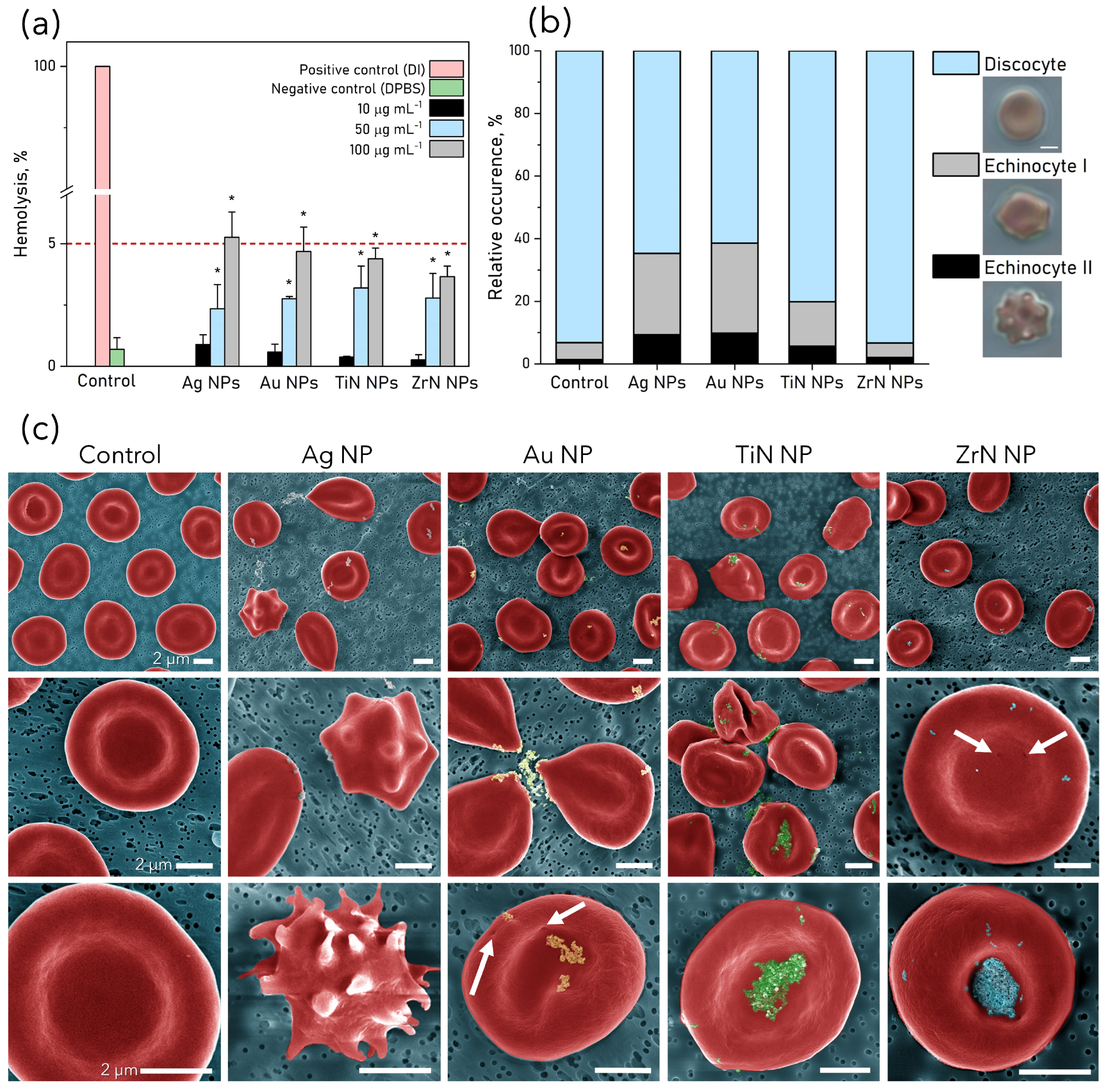 Pharmaceutics 15 01046 g002