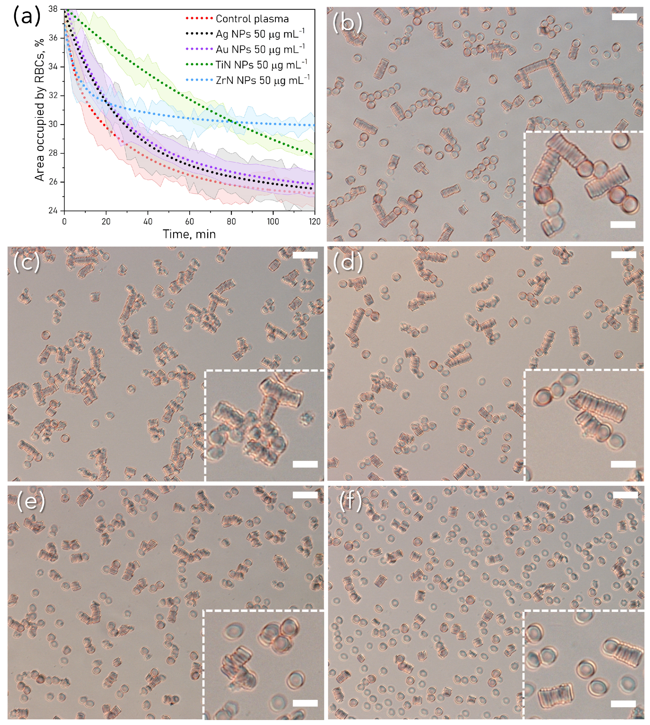 Pharmaceutics 15 01046 g003