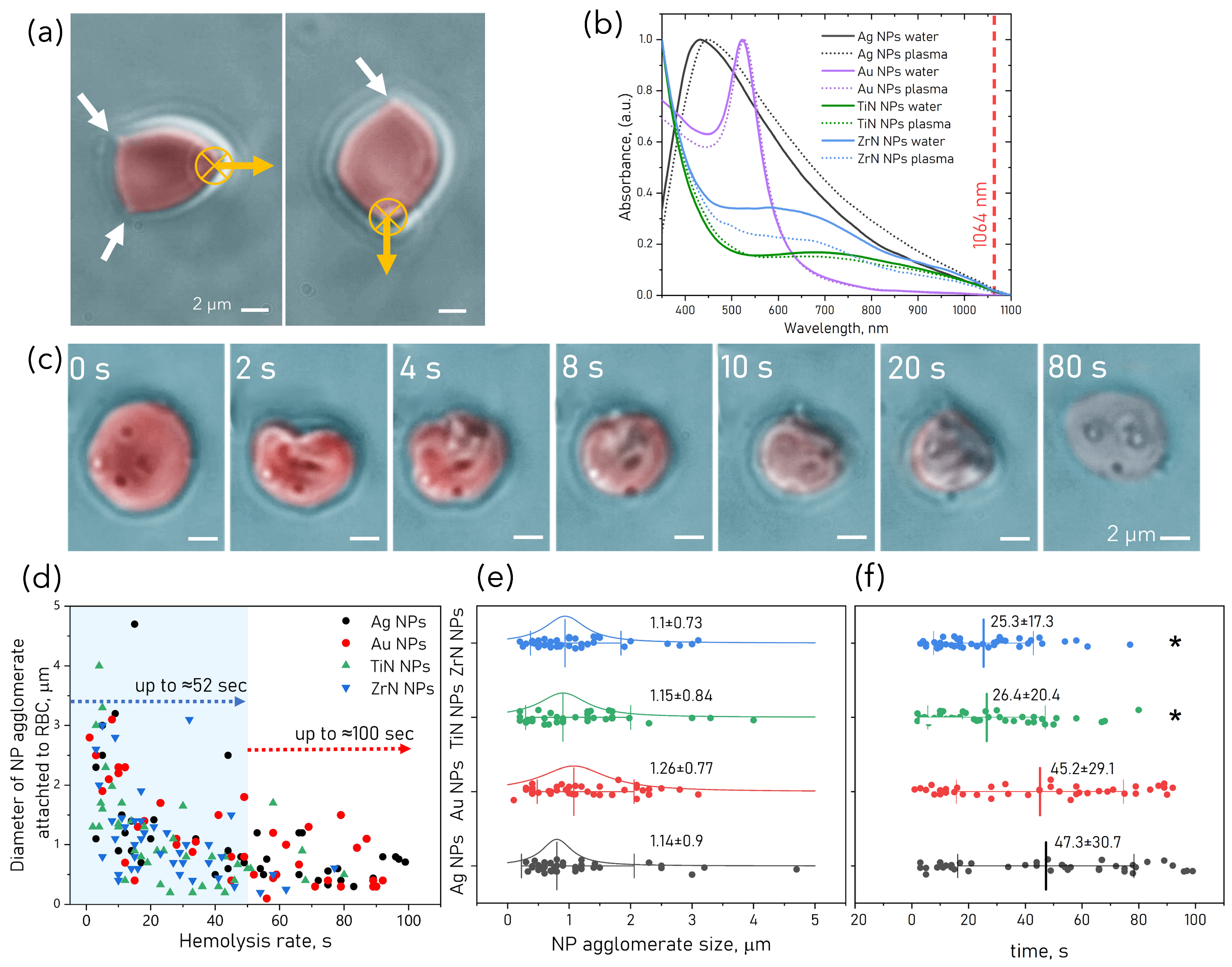 Pharmaceutics 15 01046 g005