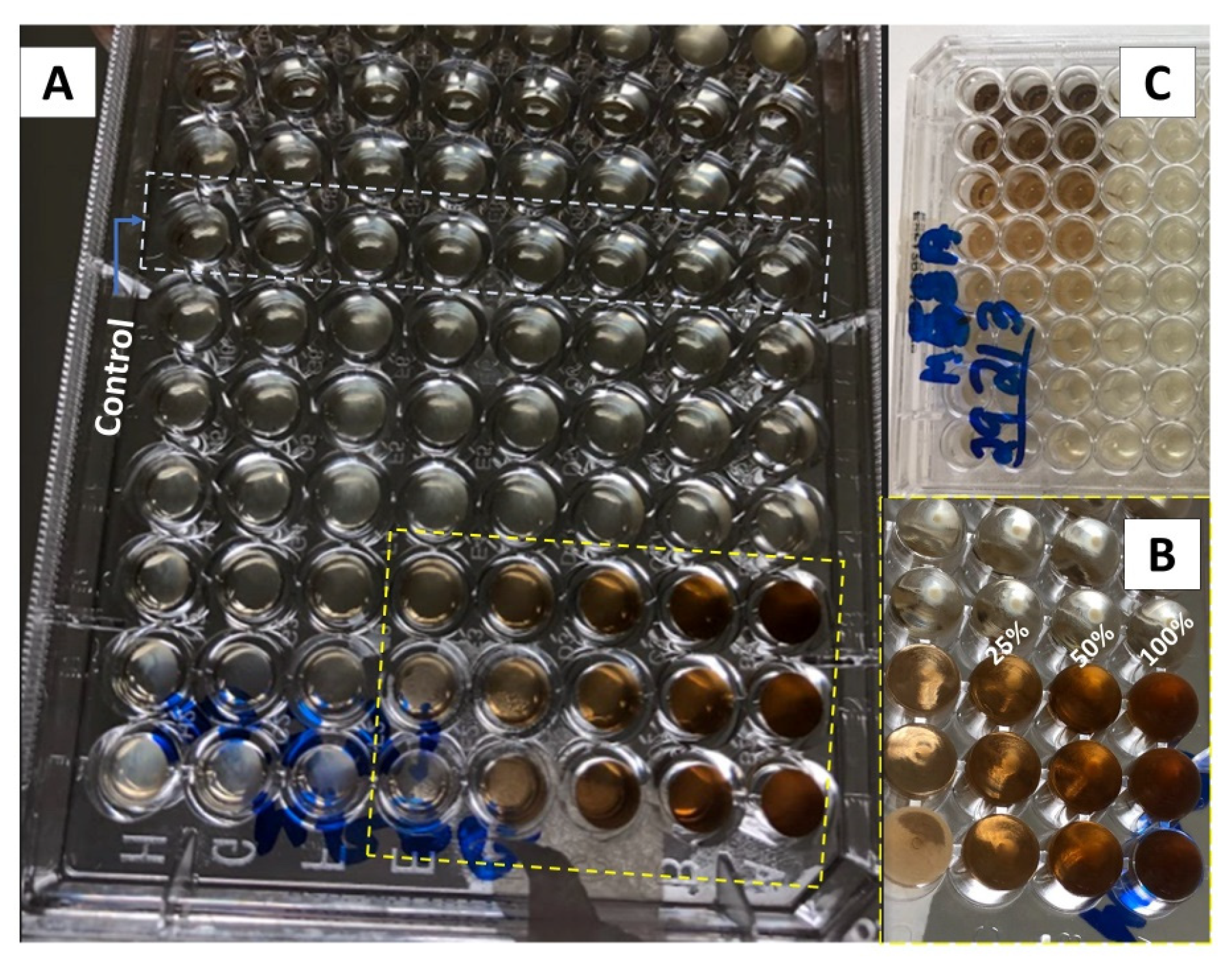Pharmaceutics 15 01047 g002
