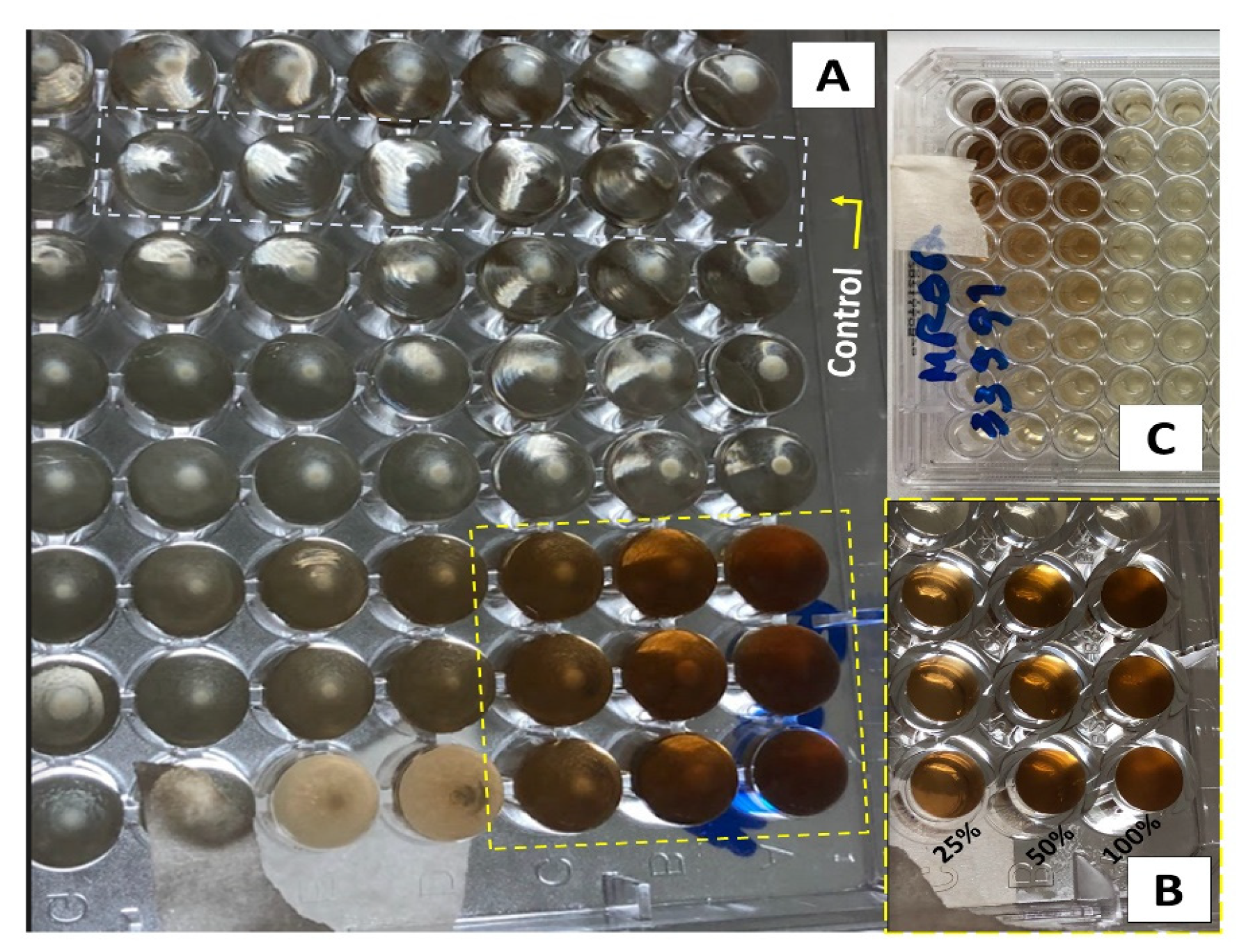 Pharmaceutics 15 01047 g003