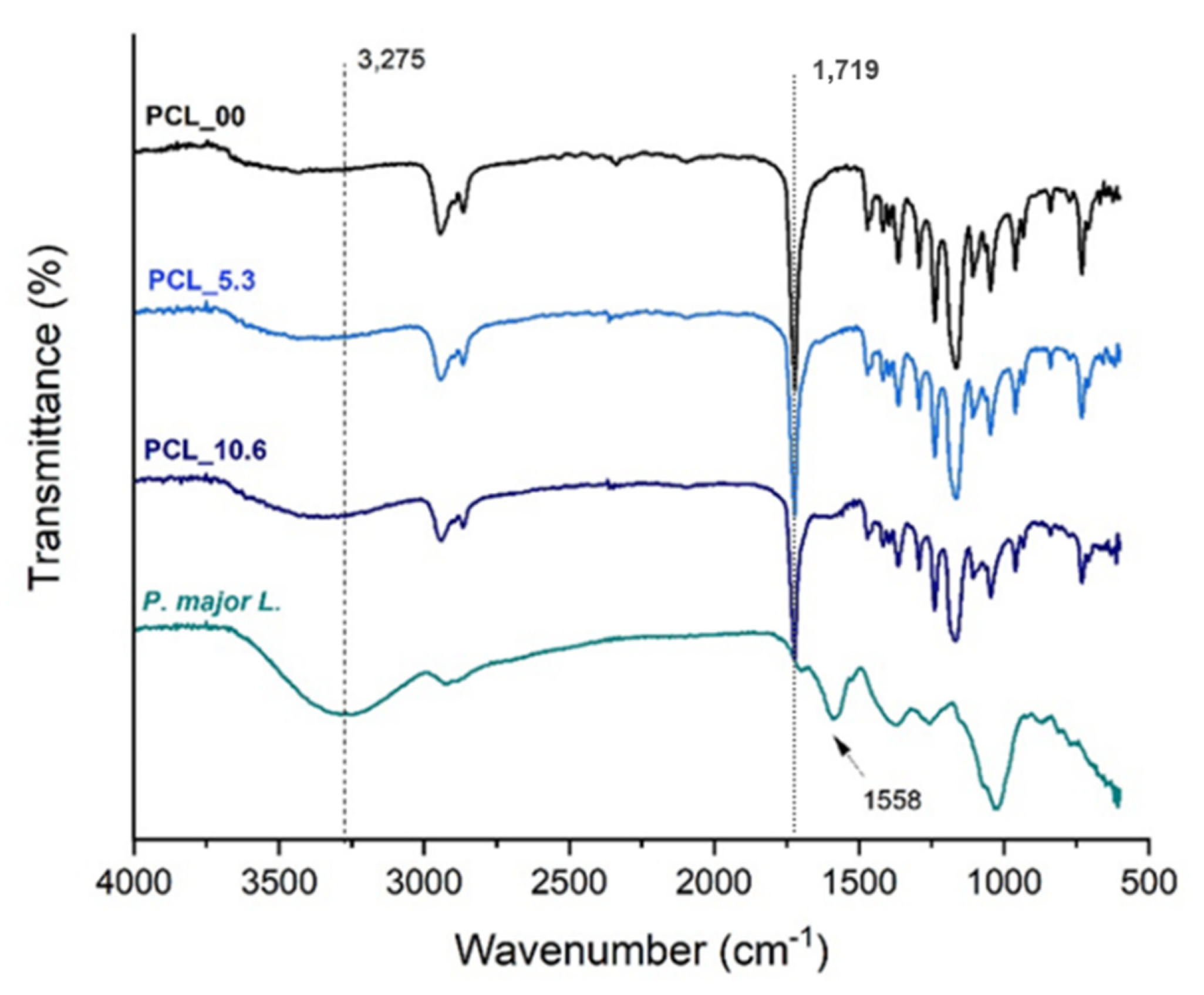 Pharmaceutics 15 01047 g006