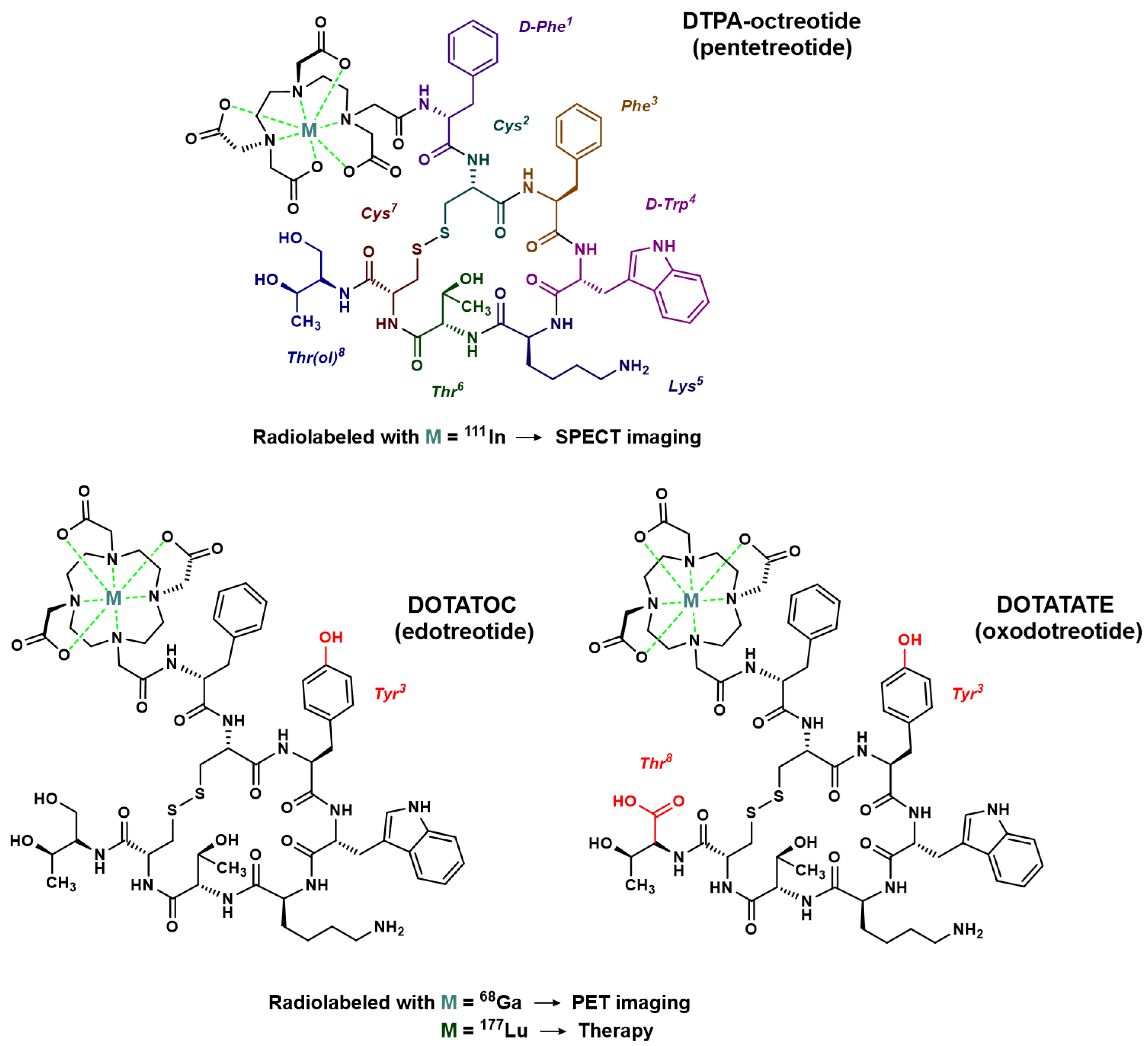 Pharmaceutics 15 01051 g002